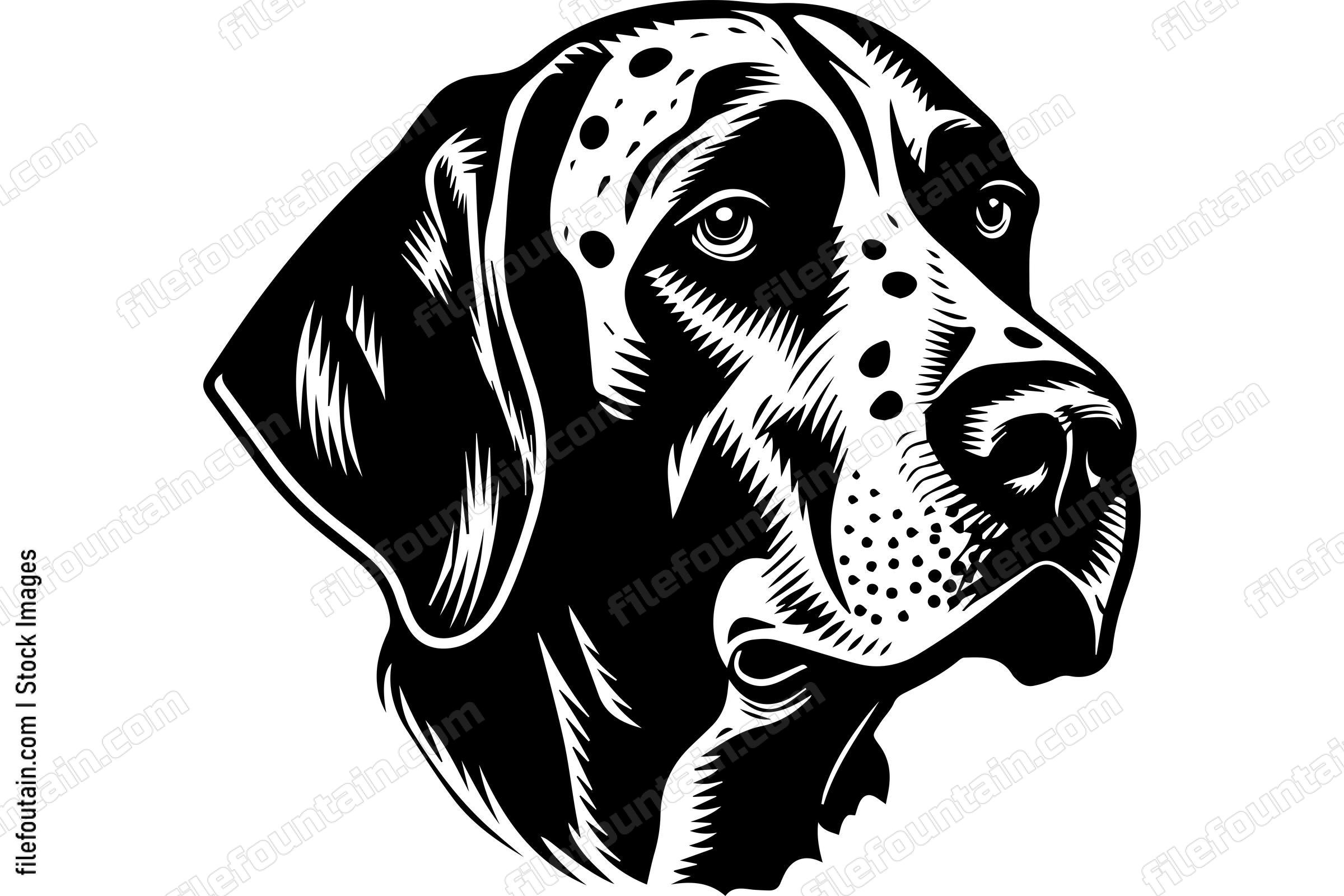 German Shorthaired Pointer