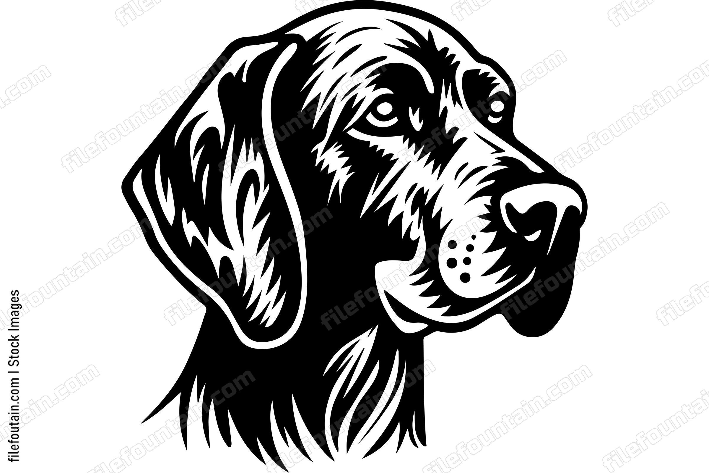 German Shorthaired Pointer