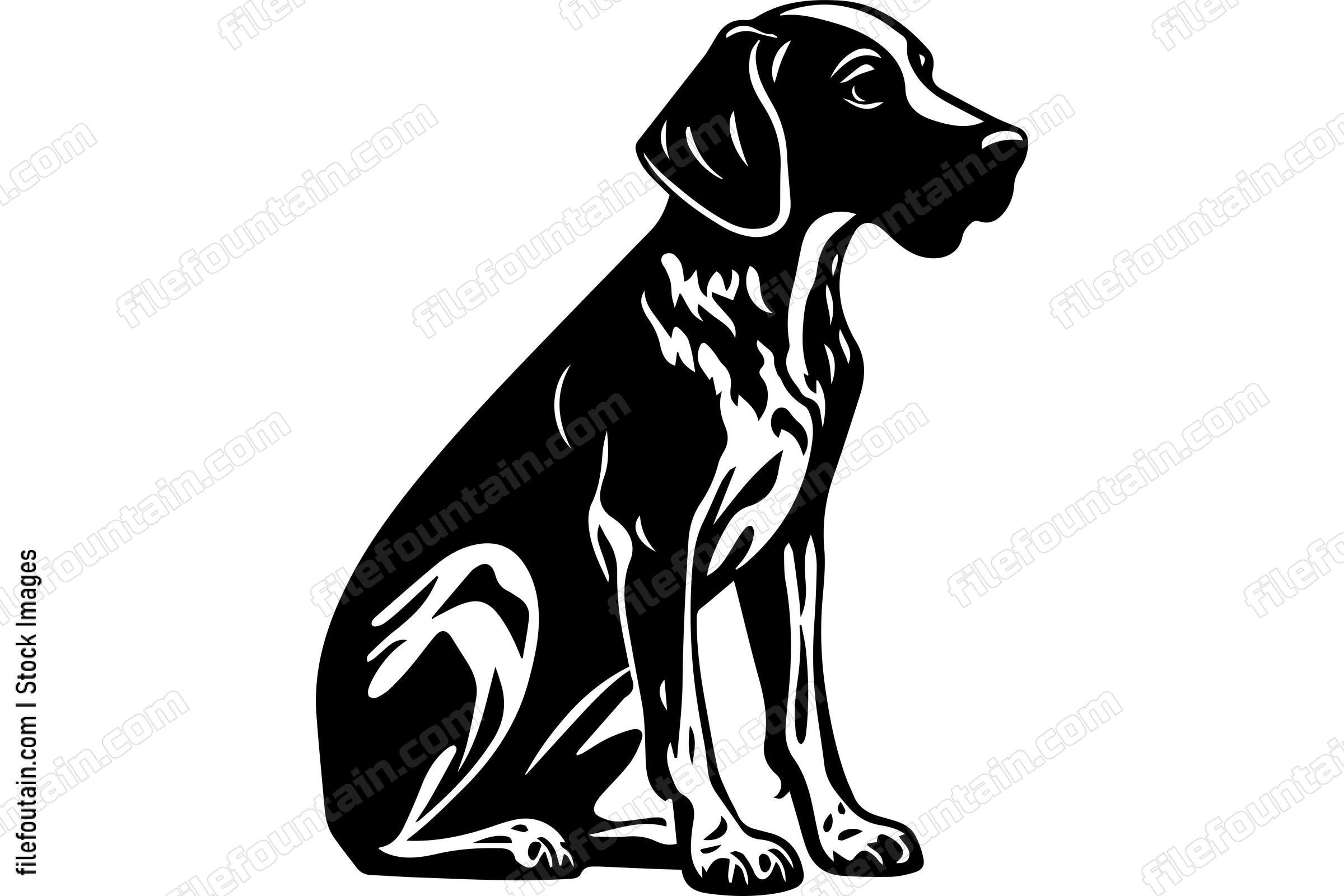 German Shorthaired Pointer