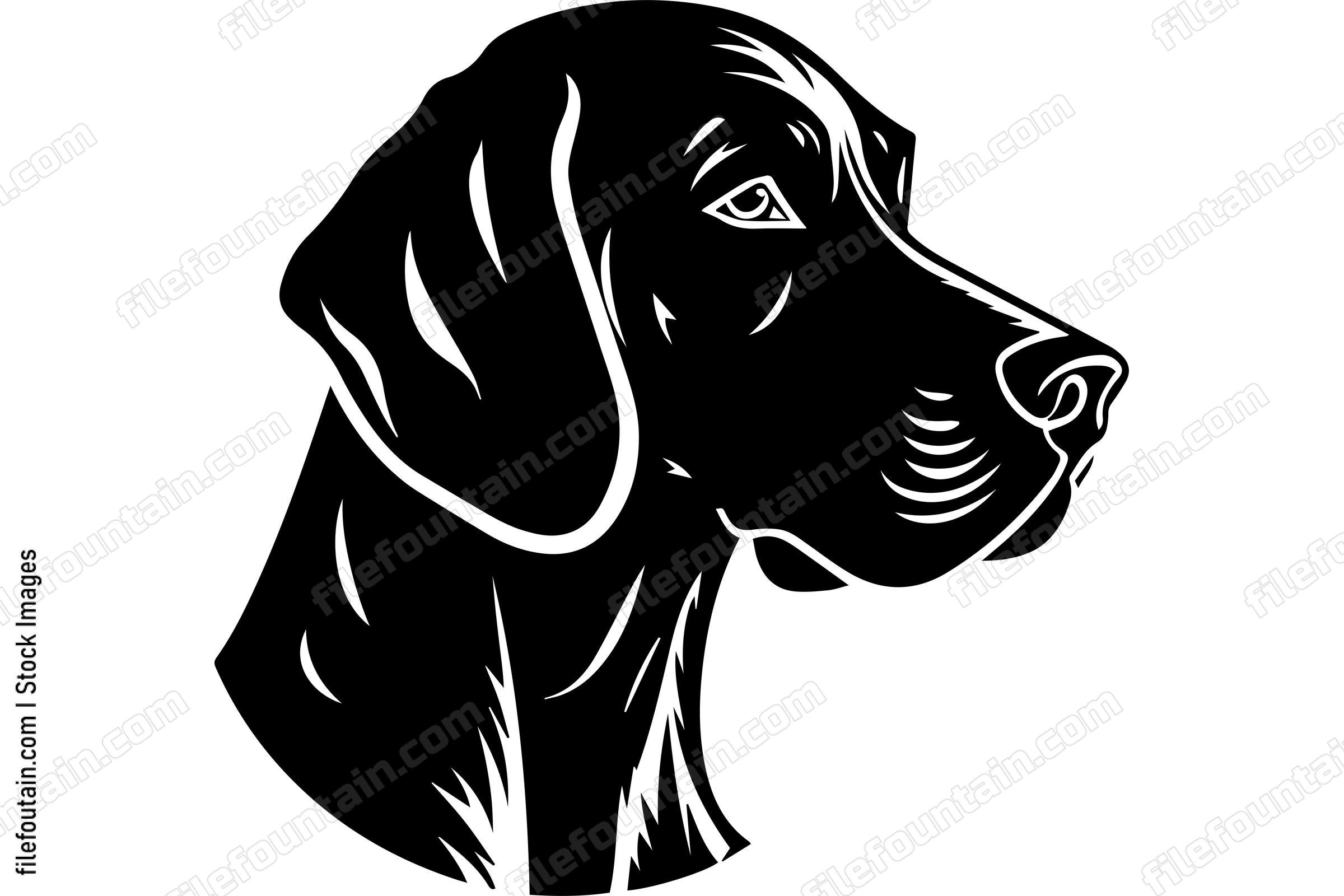 German Shorthaired Pointer
