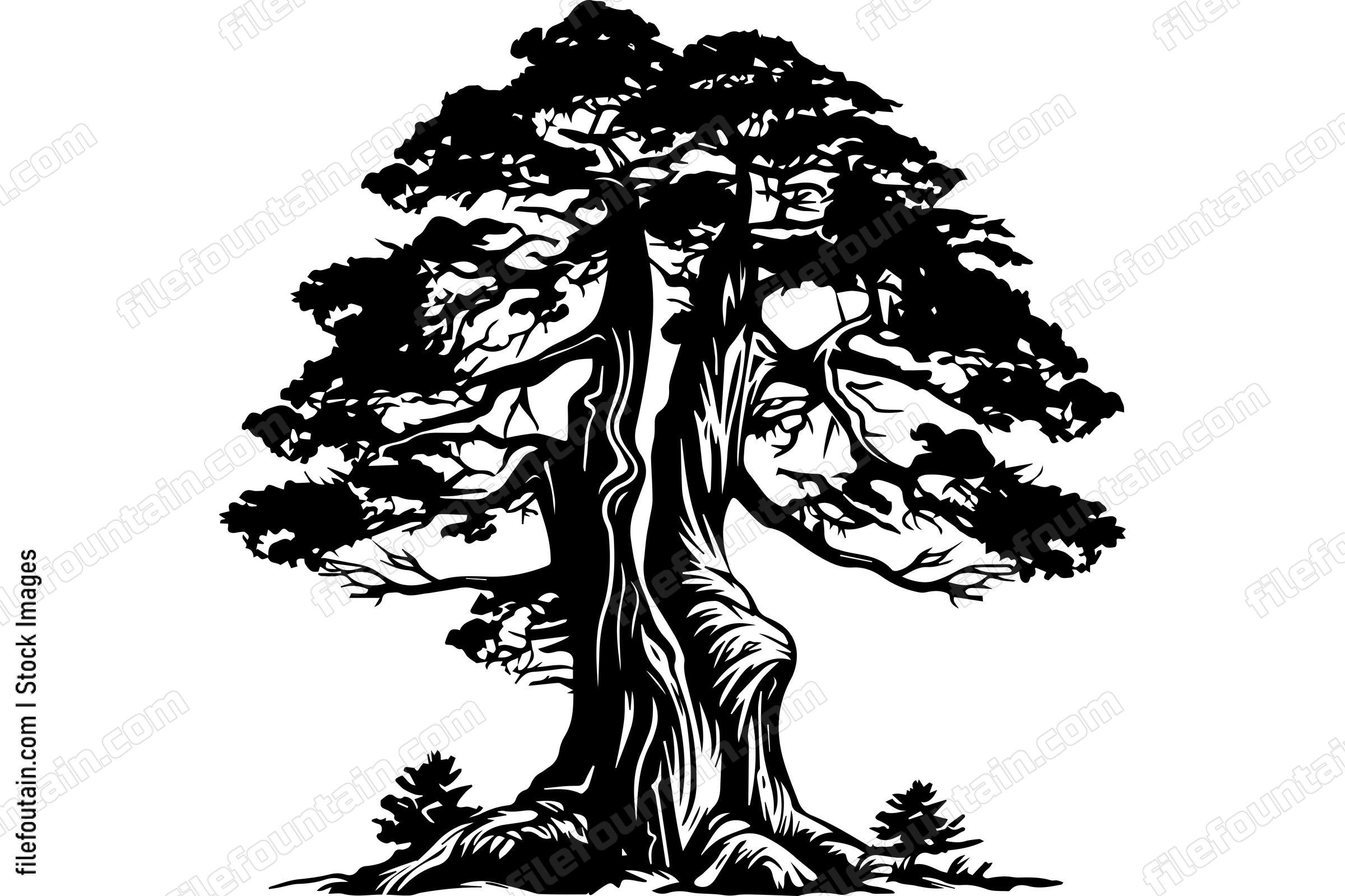 Giant Forest Tree