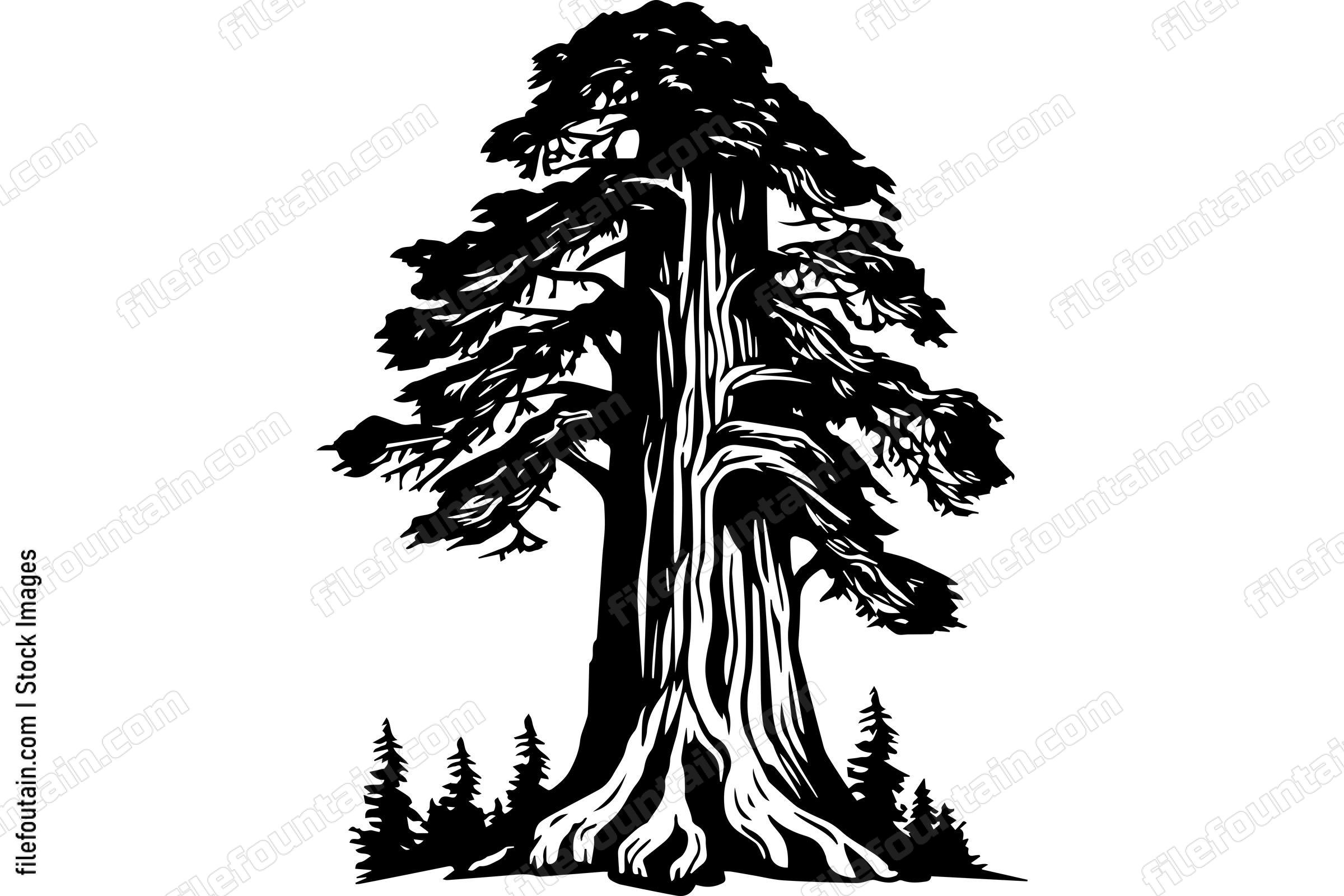 Giant Forest Tree