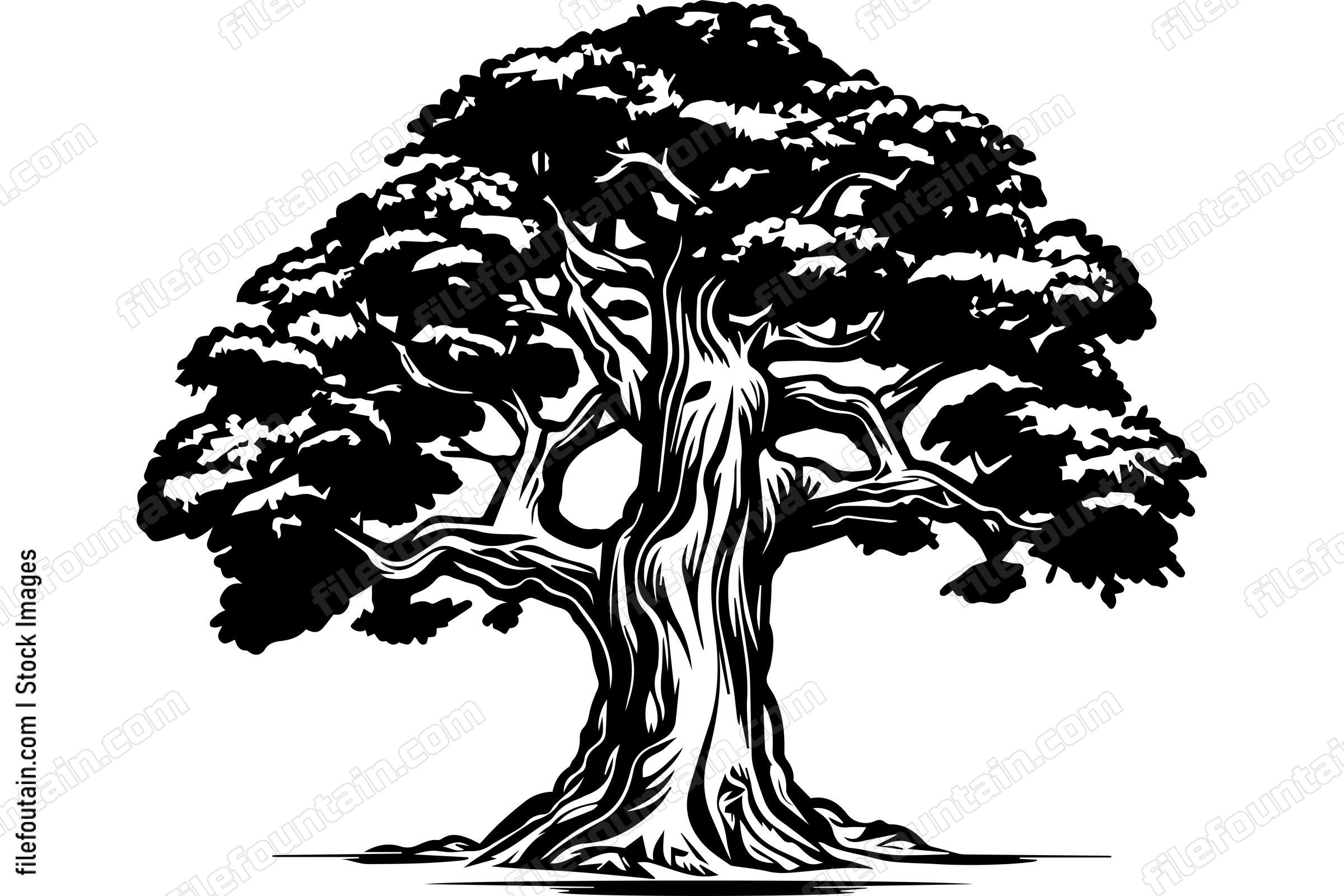 Giant Forest Tree