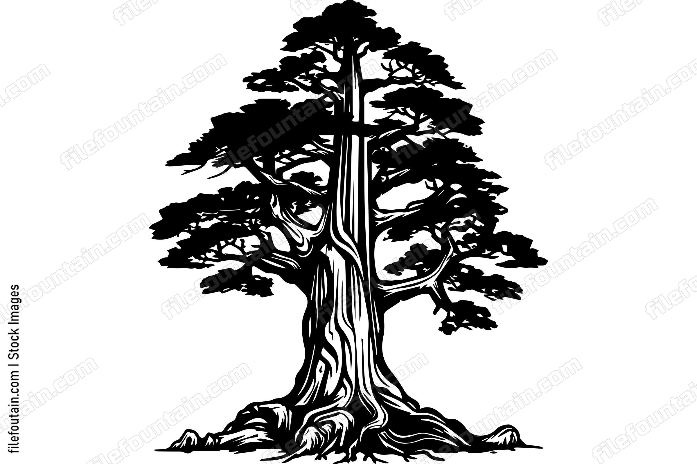 Giant Forest Tree