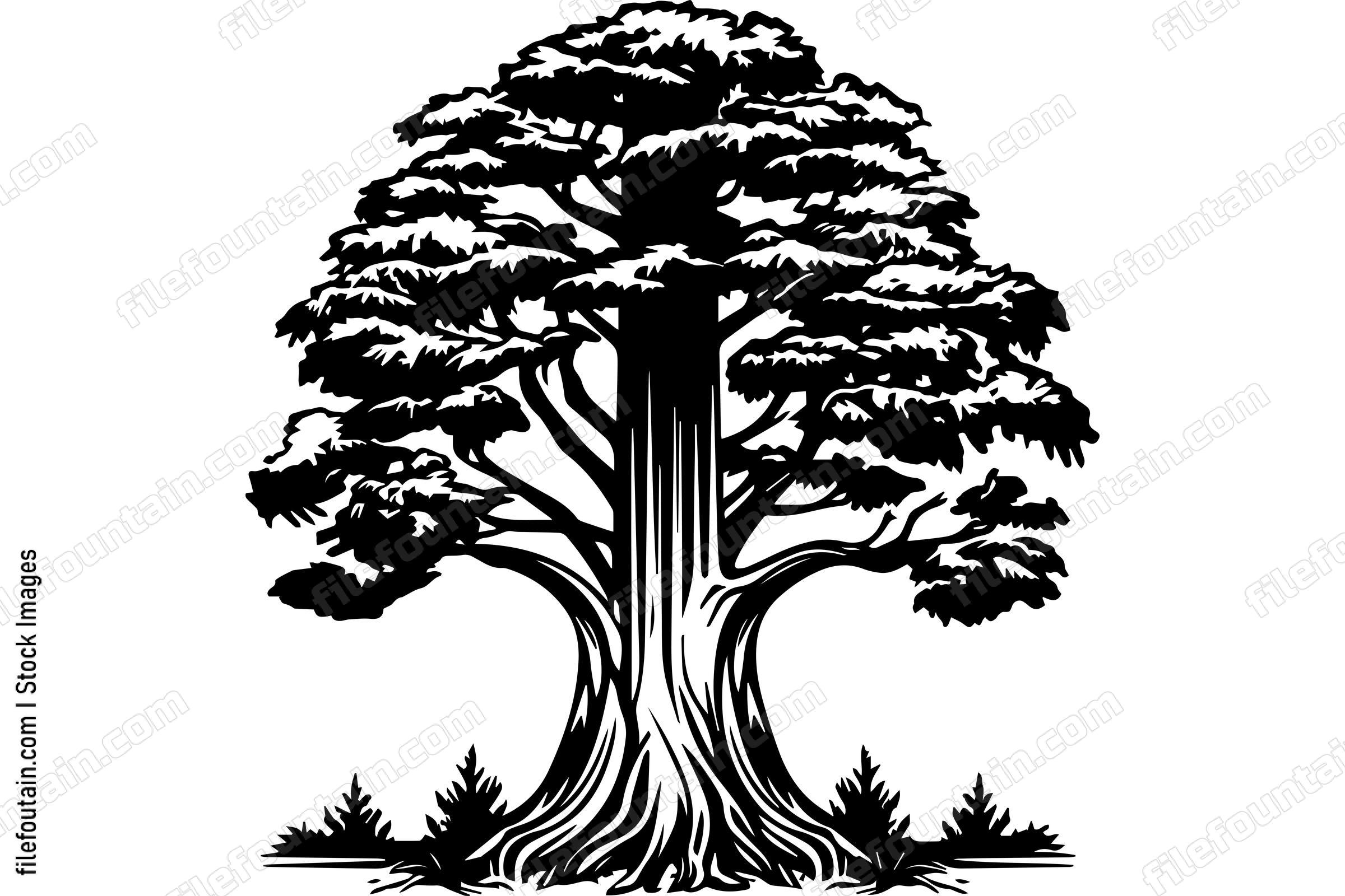 Giant Forest Tree