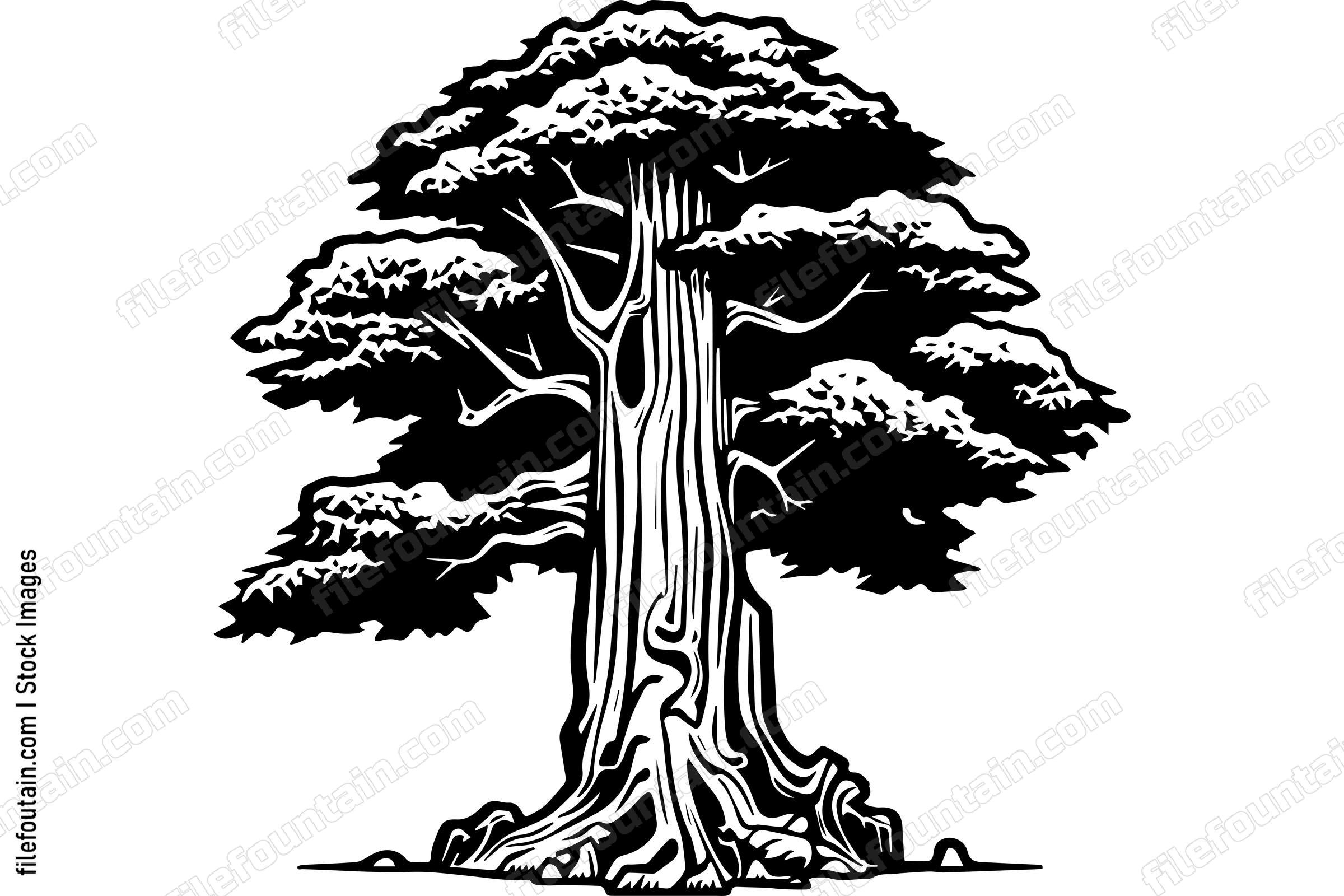 Giant Forest Tree