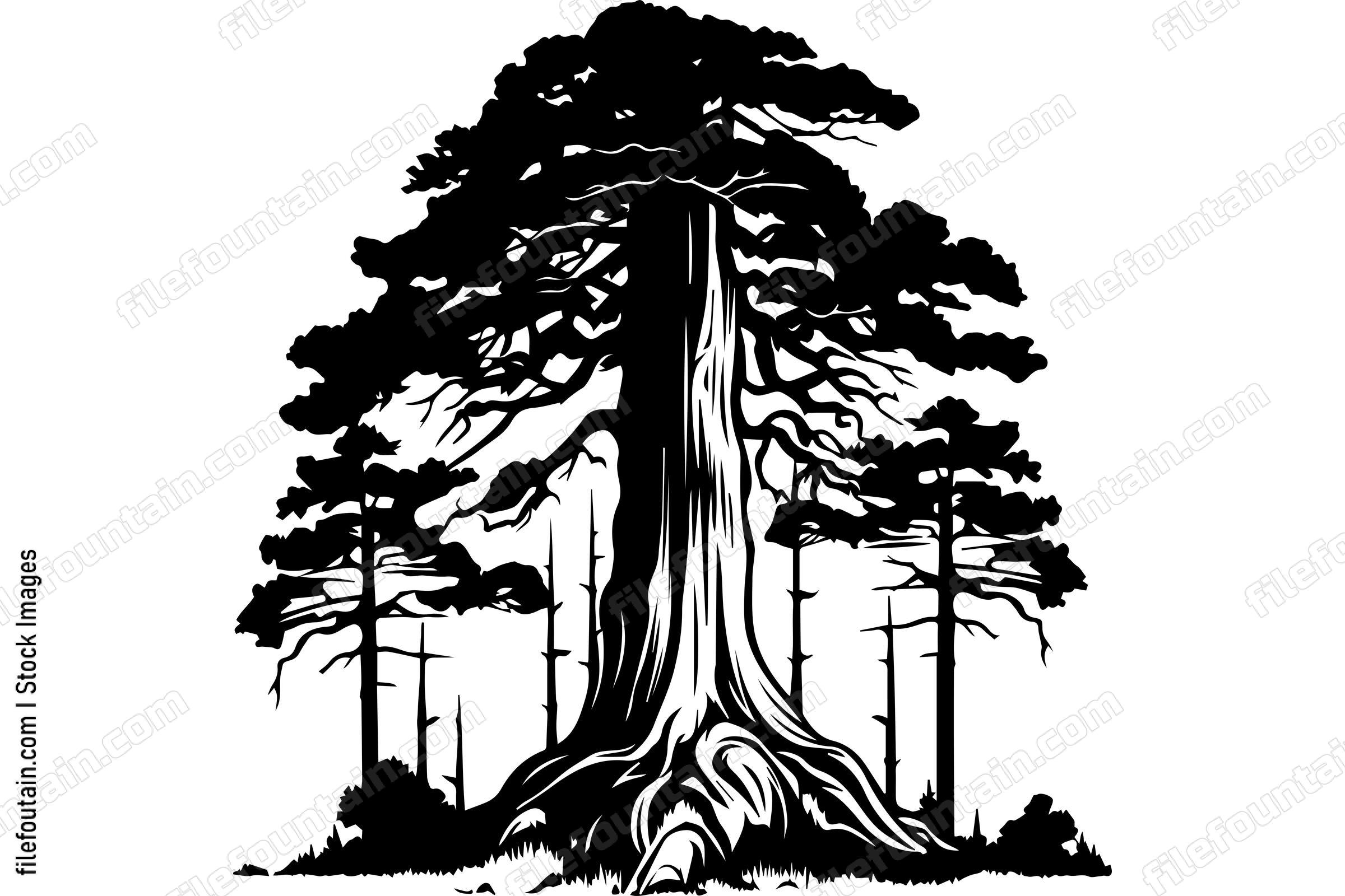 Giant Forest Tree