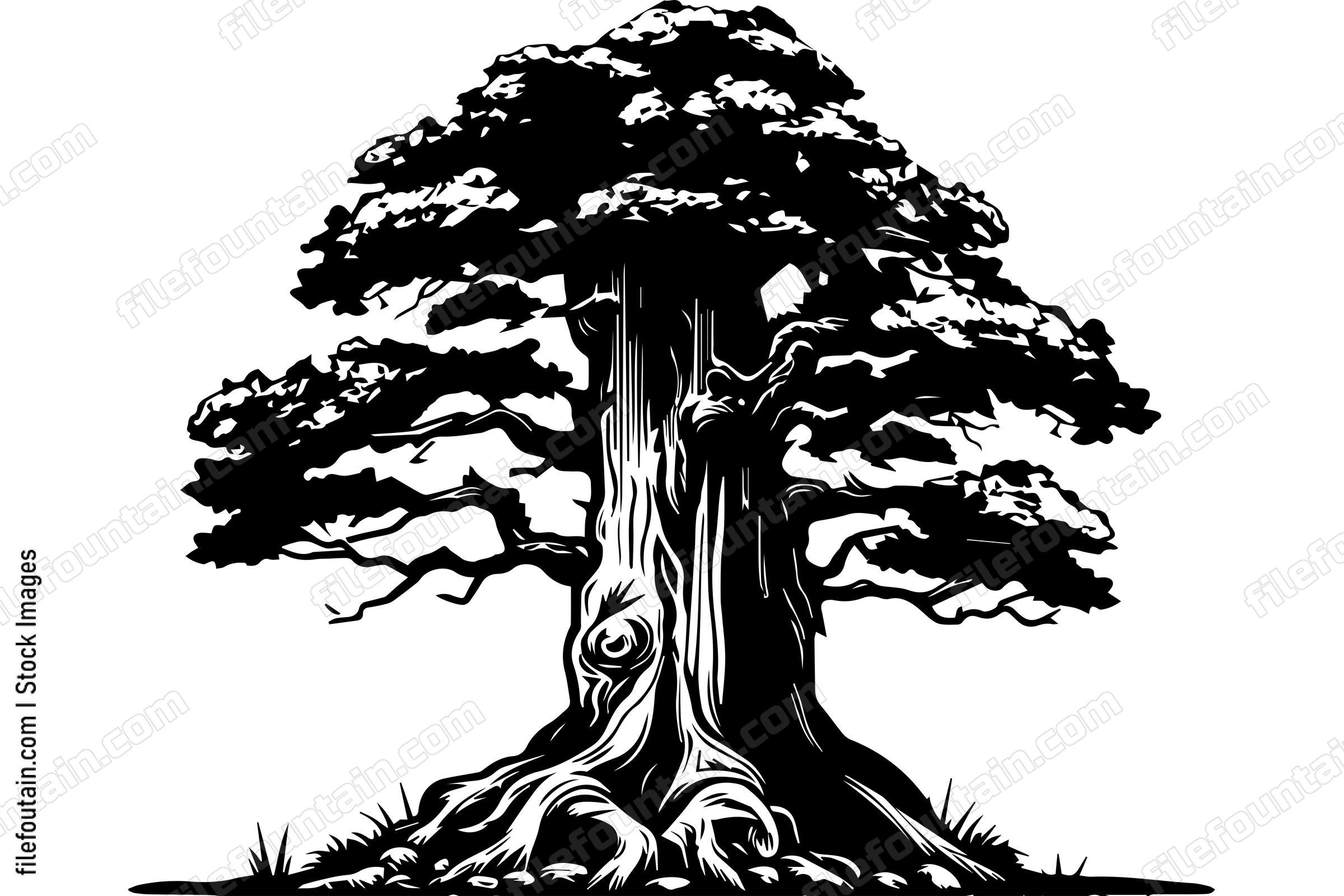 Giant Forest Tree
