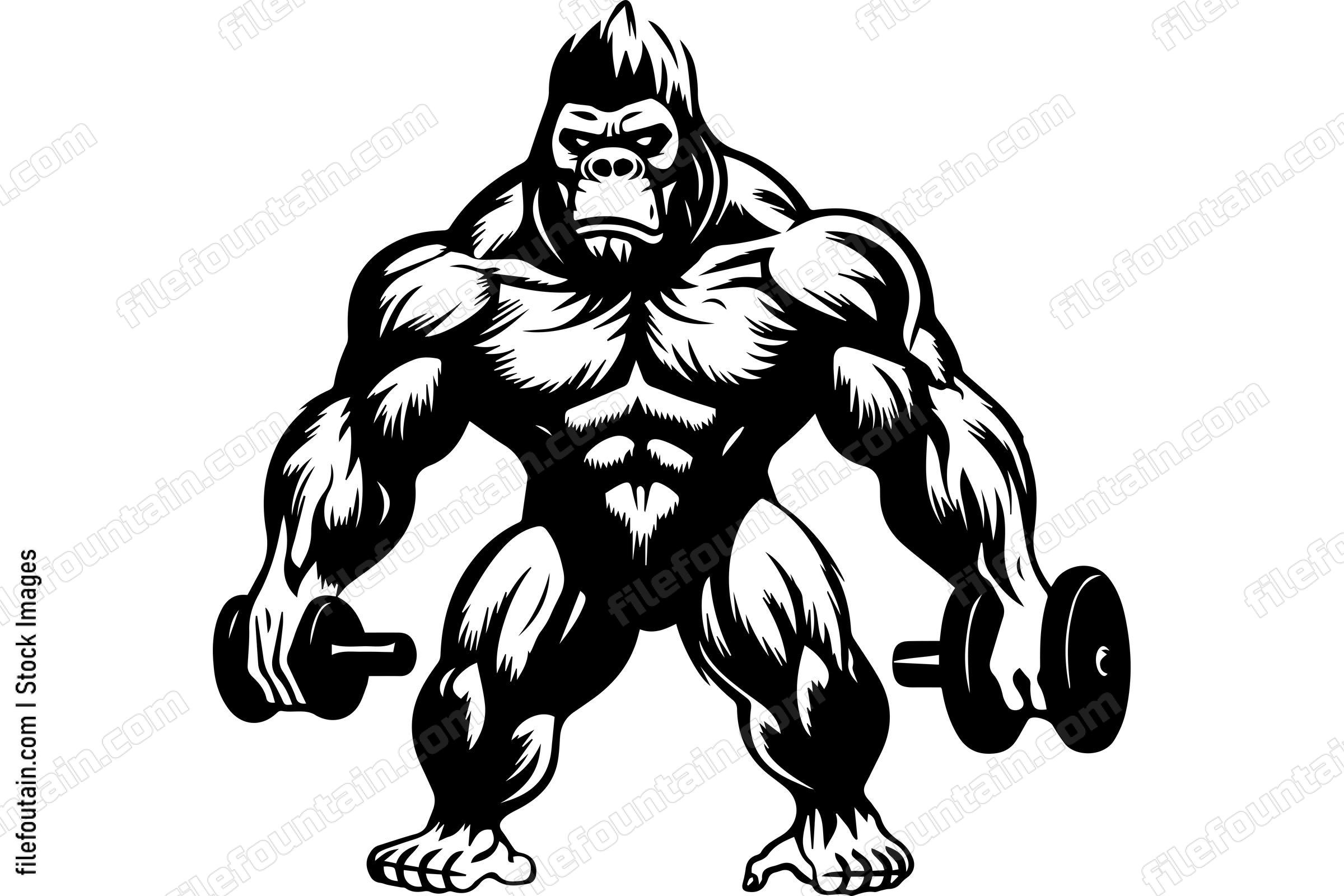 Gorilla Lifting Weights