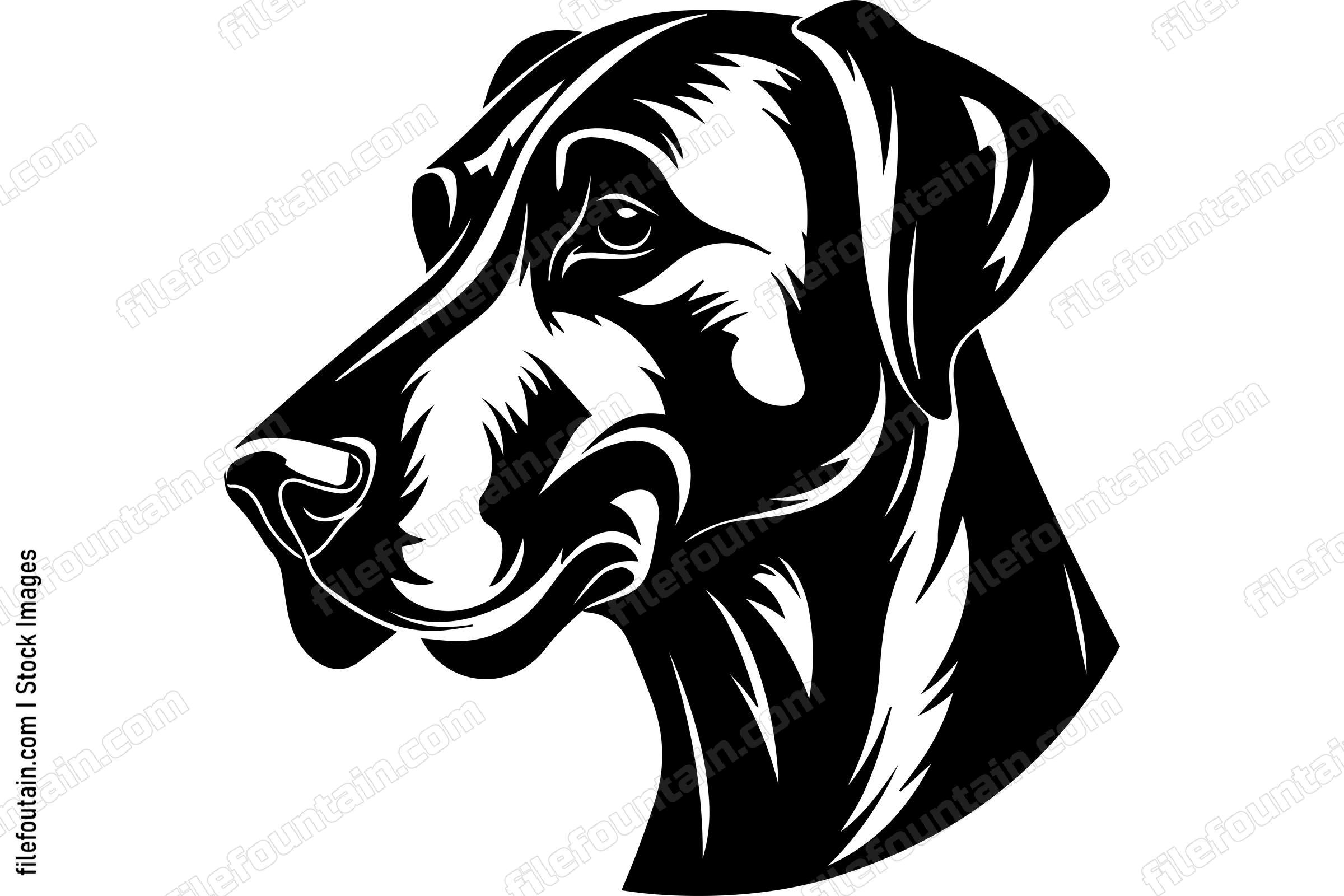 Great Dane