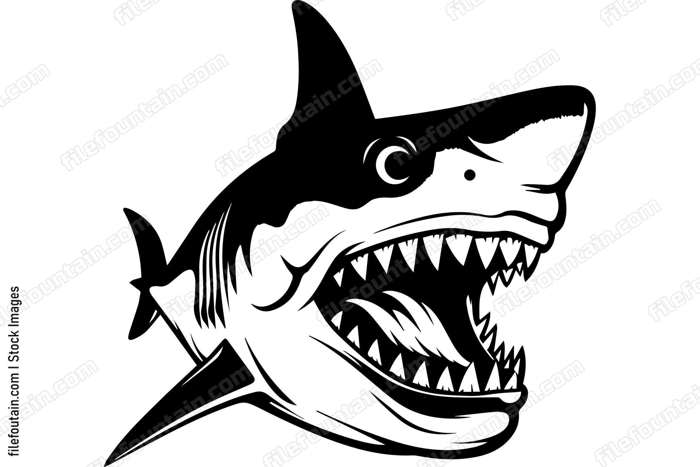 Great White Shark