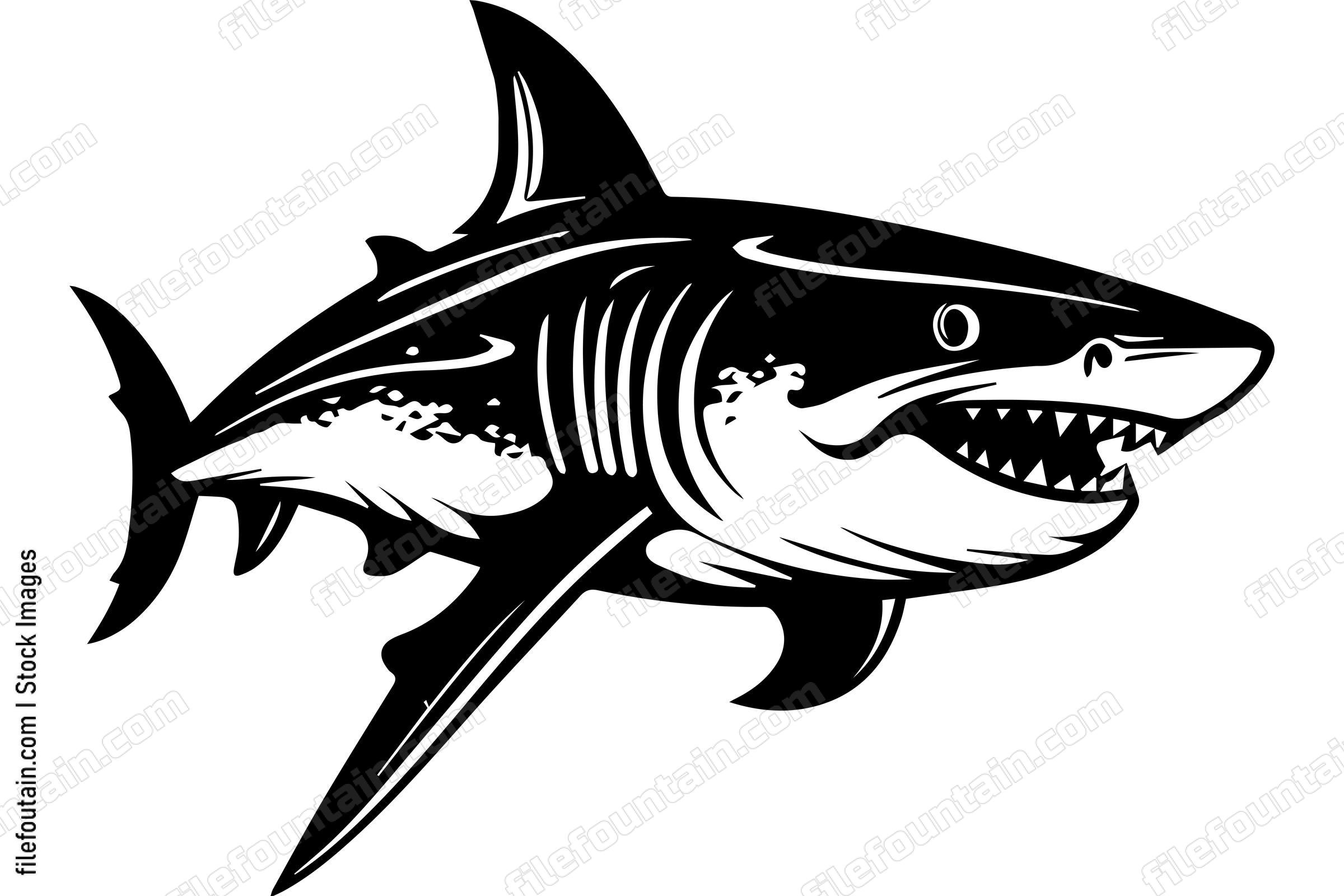 Great White Shark