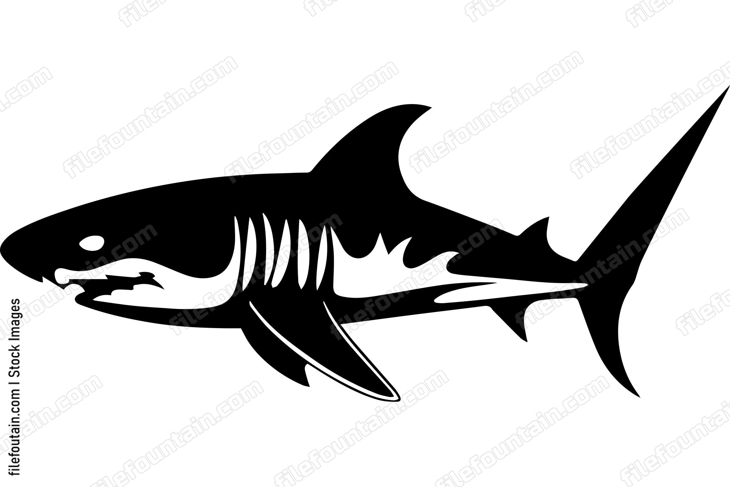 Great White Shark