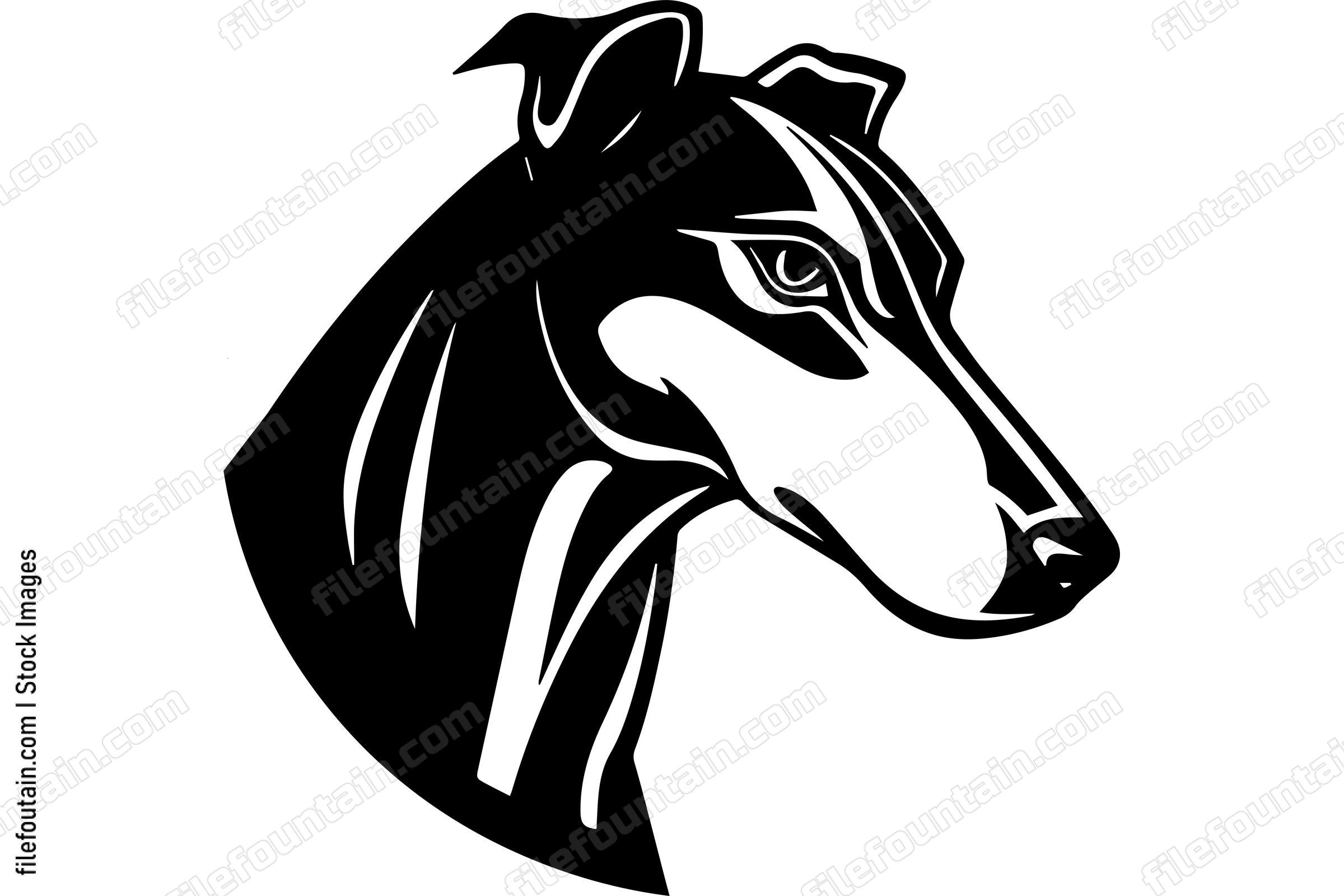 Greyhound