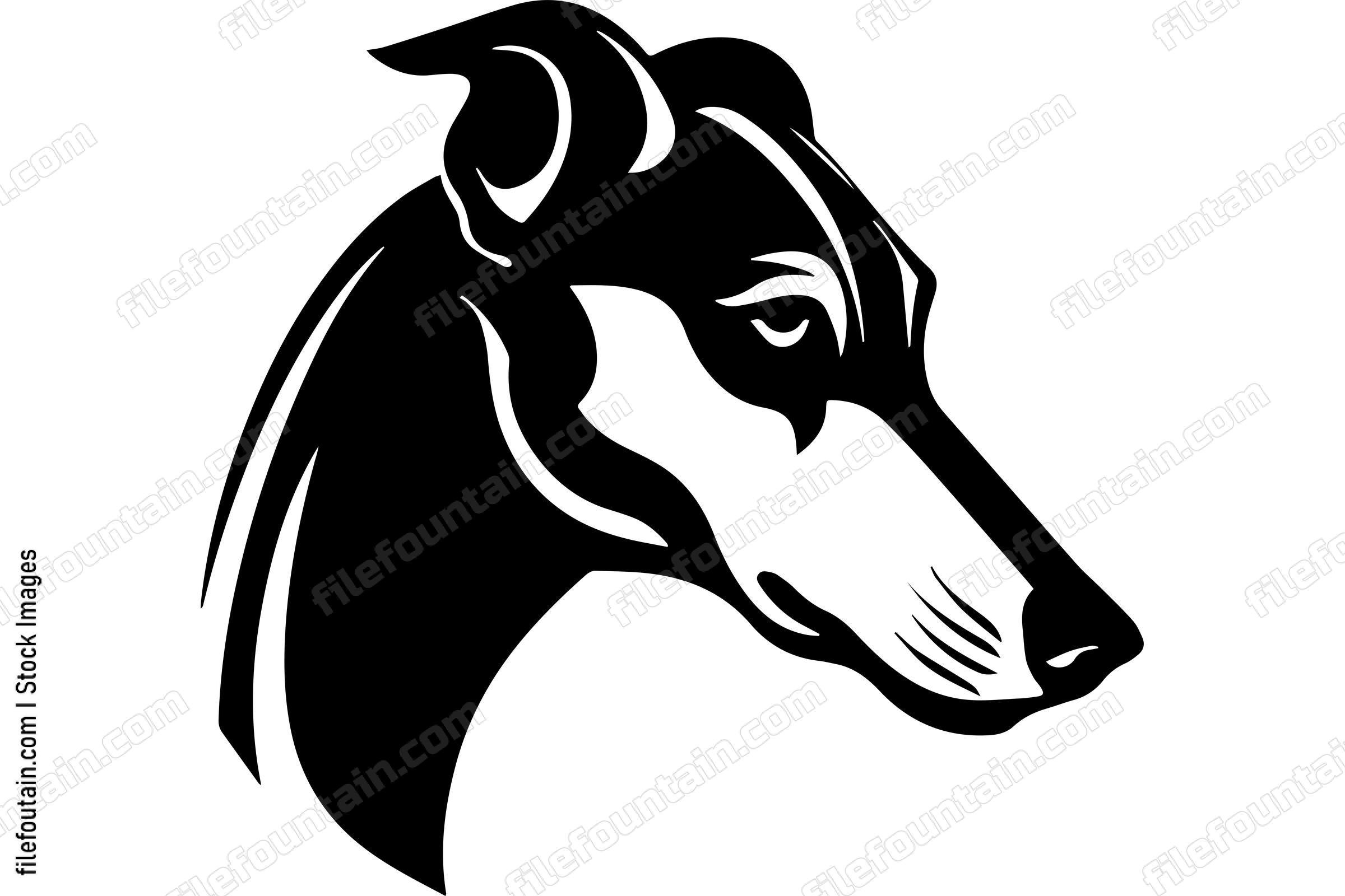 Greyhound