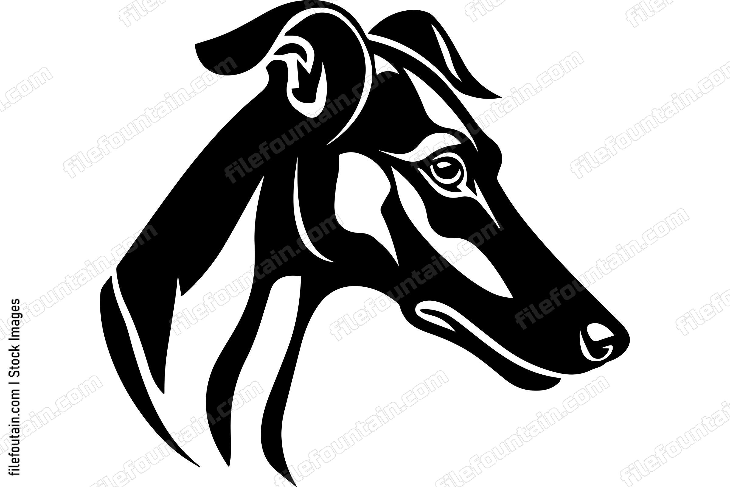 Greyhound