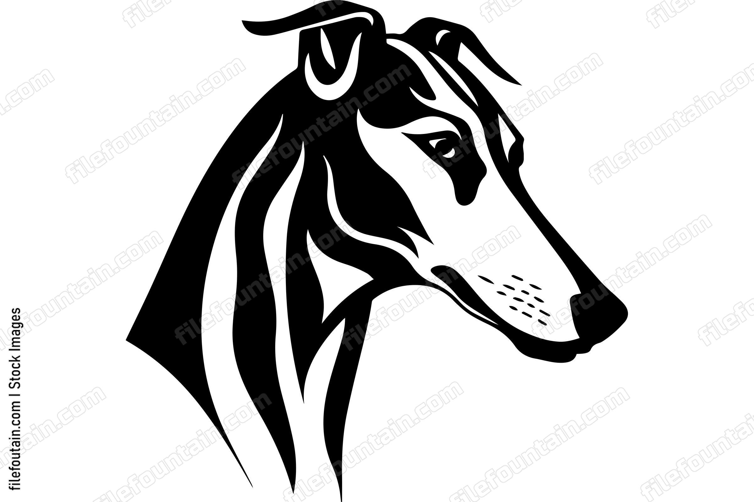 Greyhound