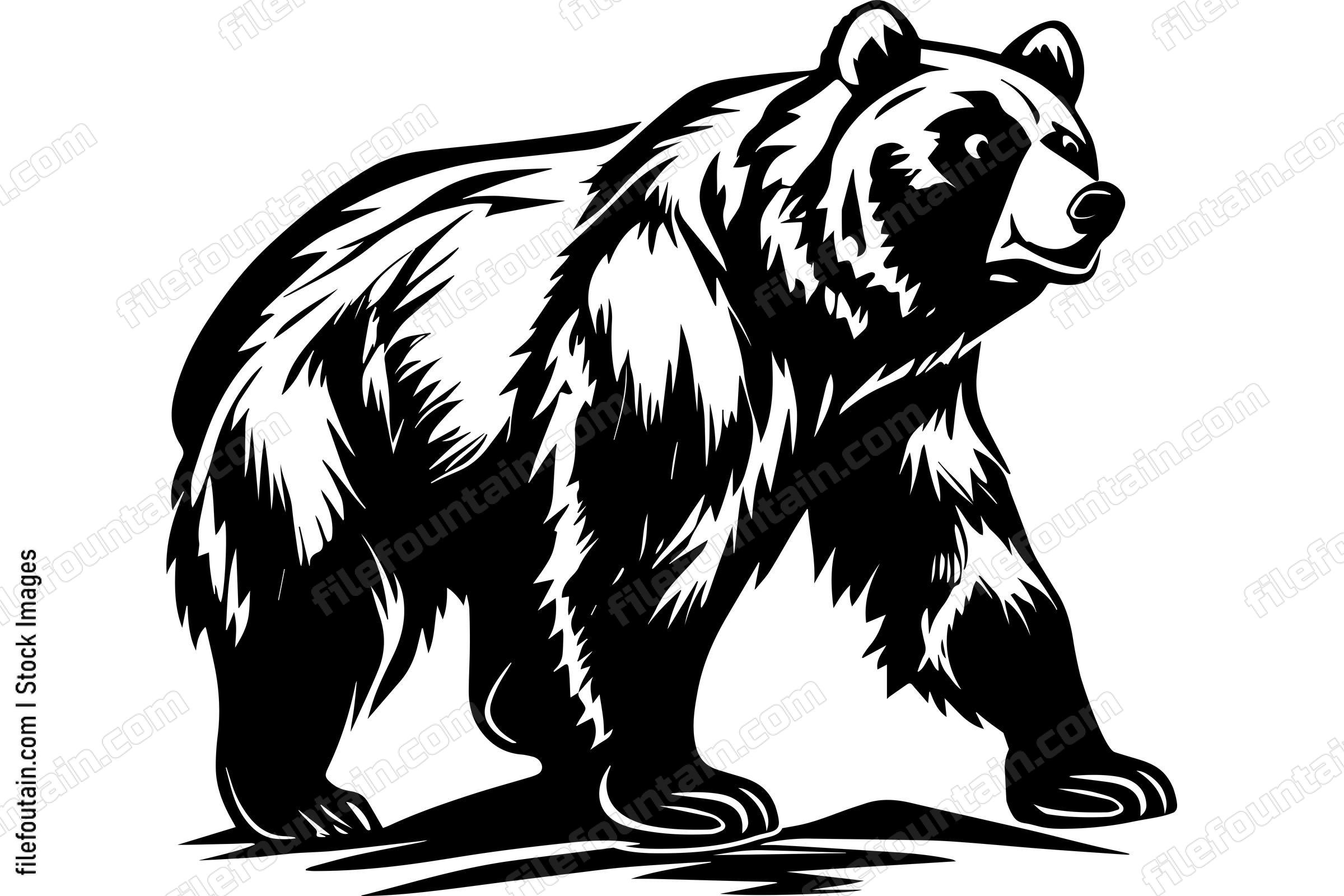 Grizzly Bear