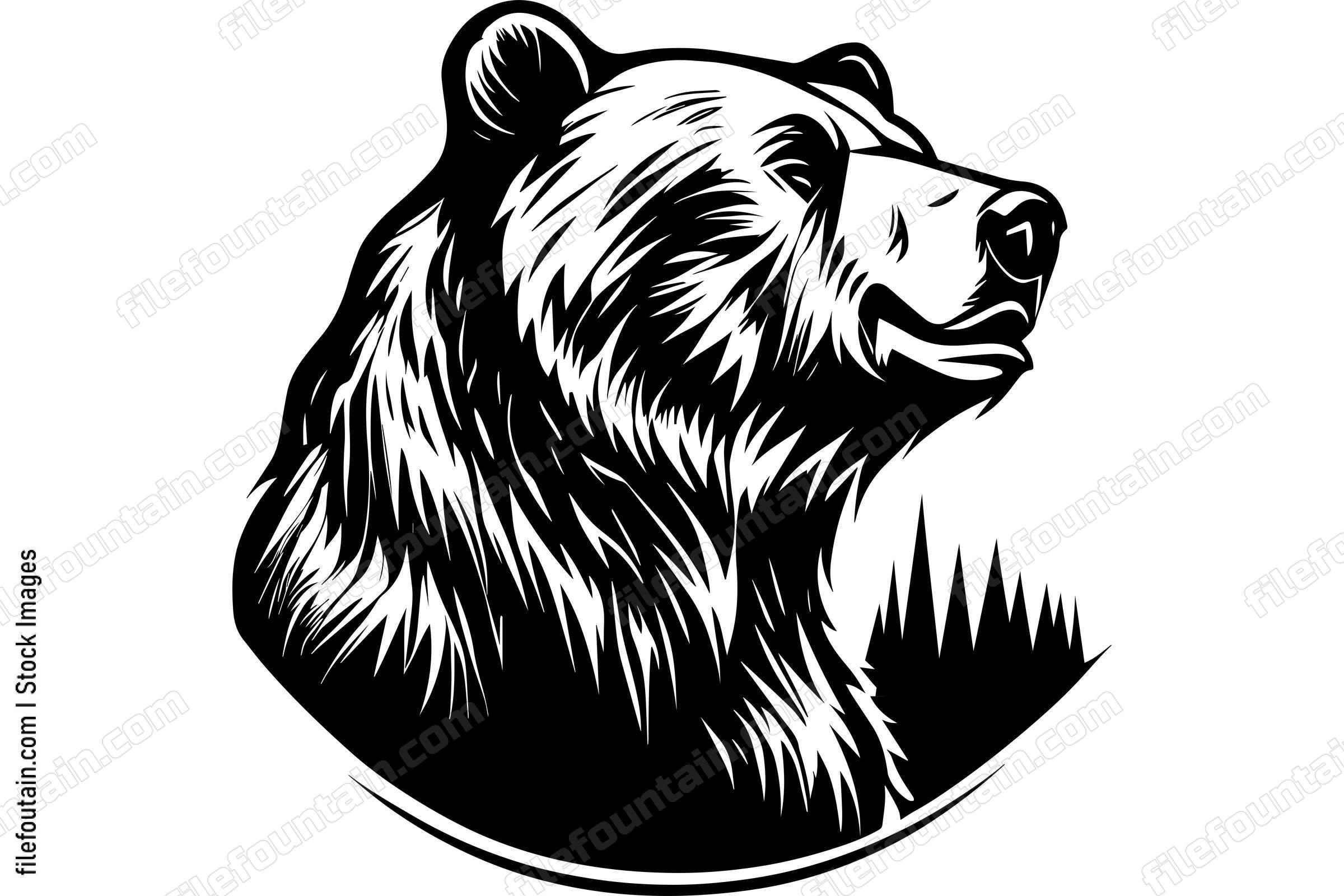 Grizzly Bear