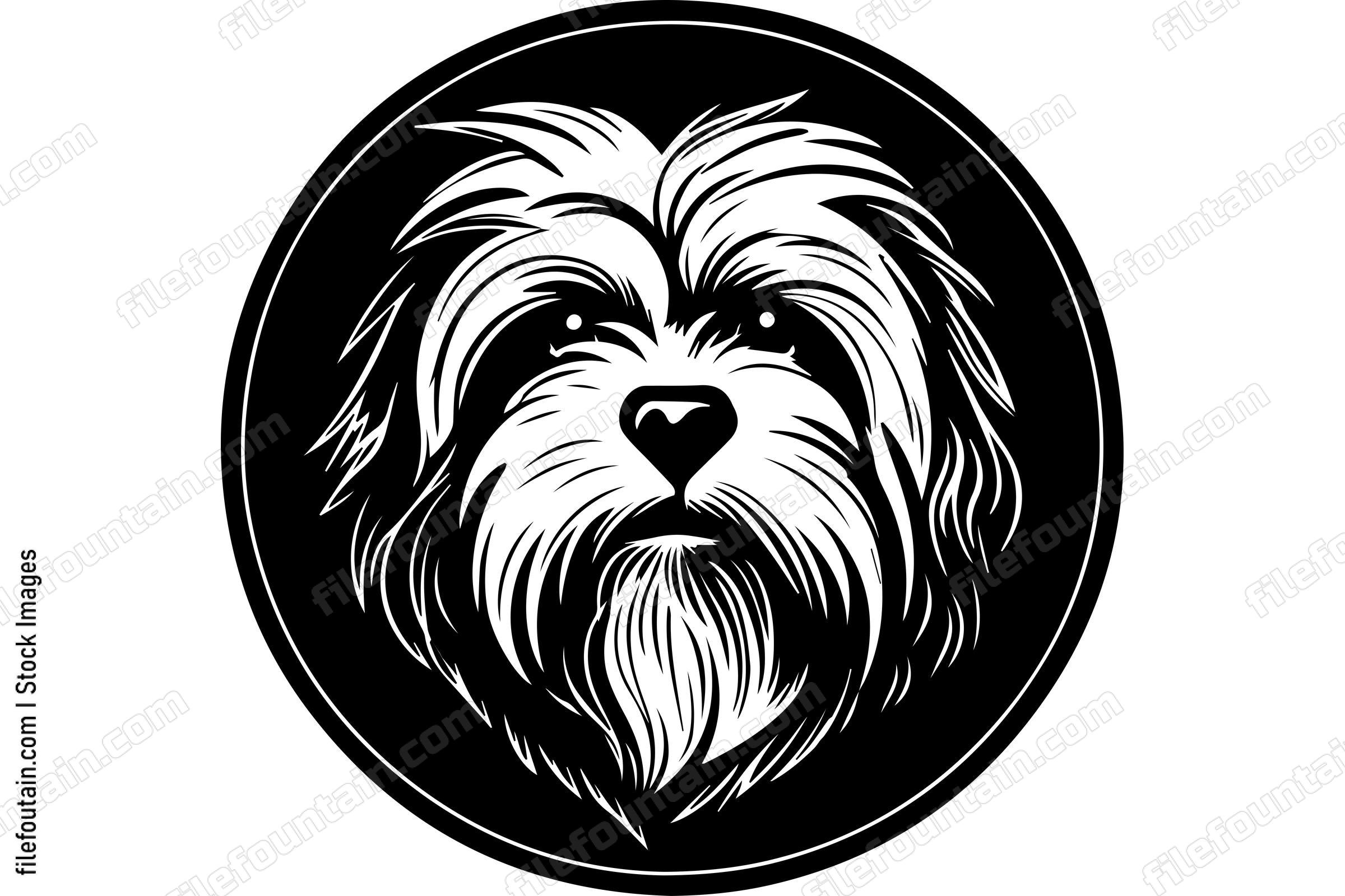 Havanese