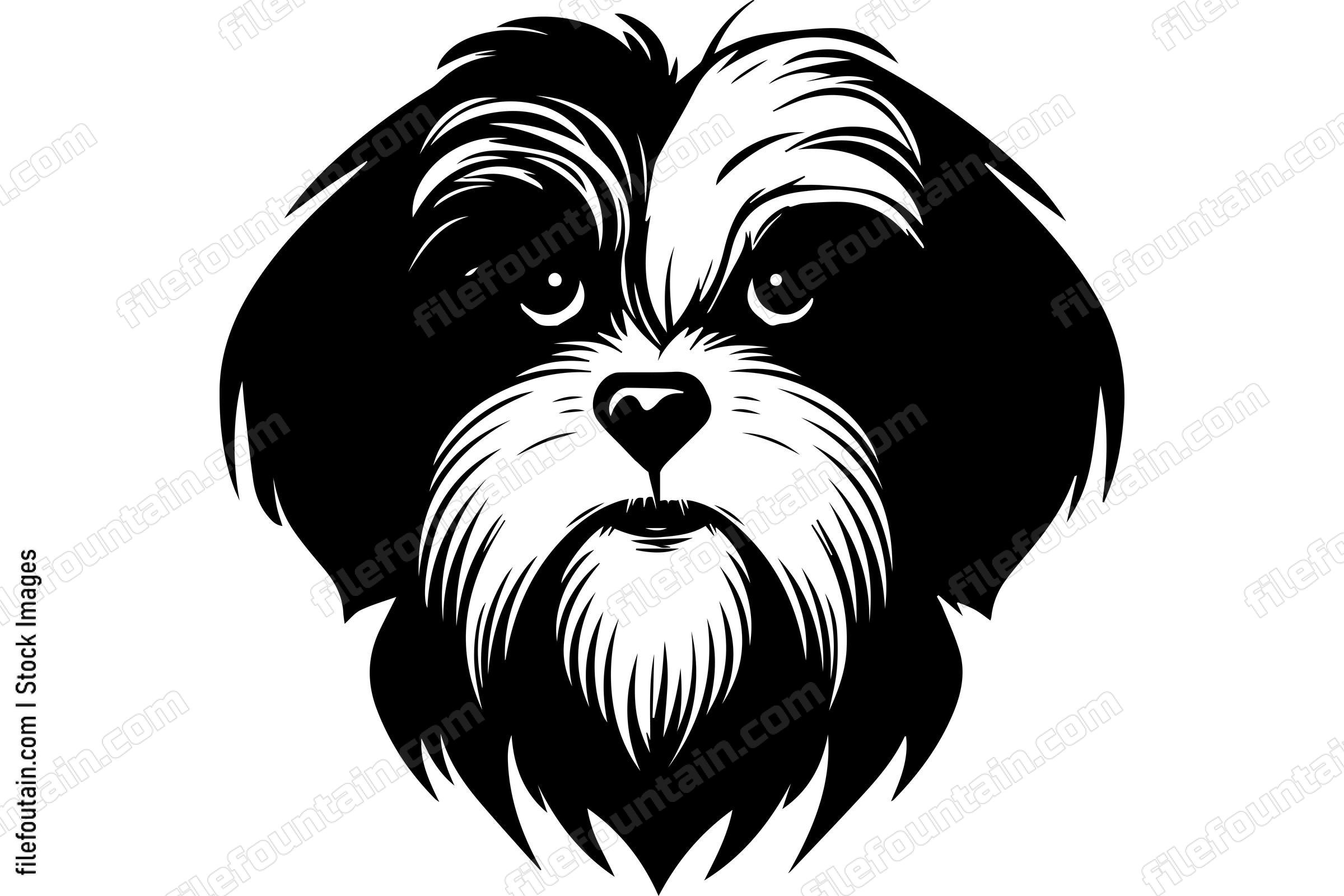 Havanese