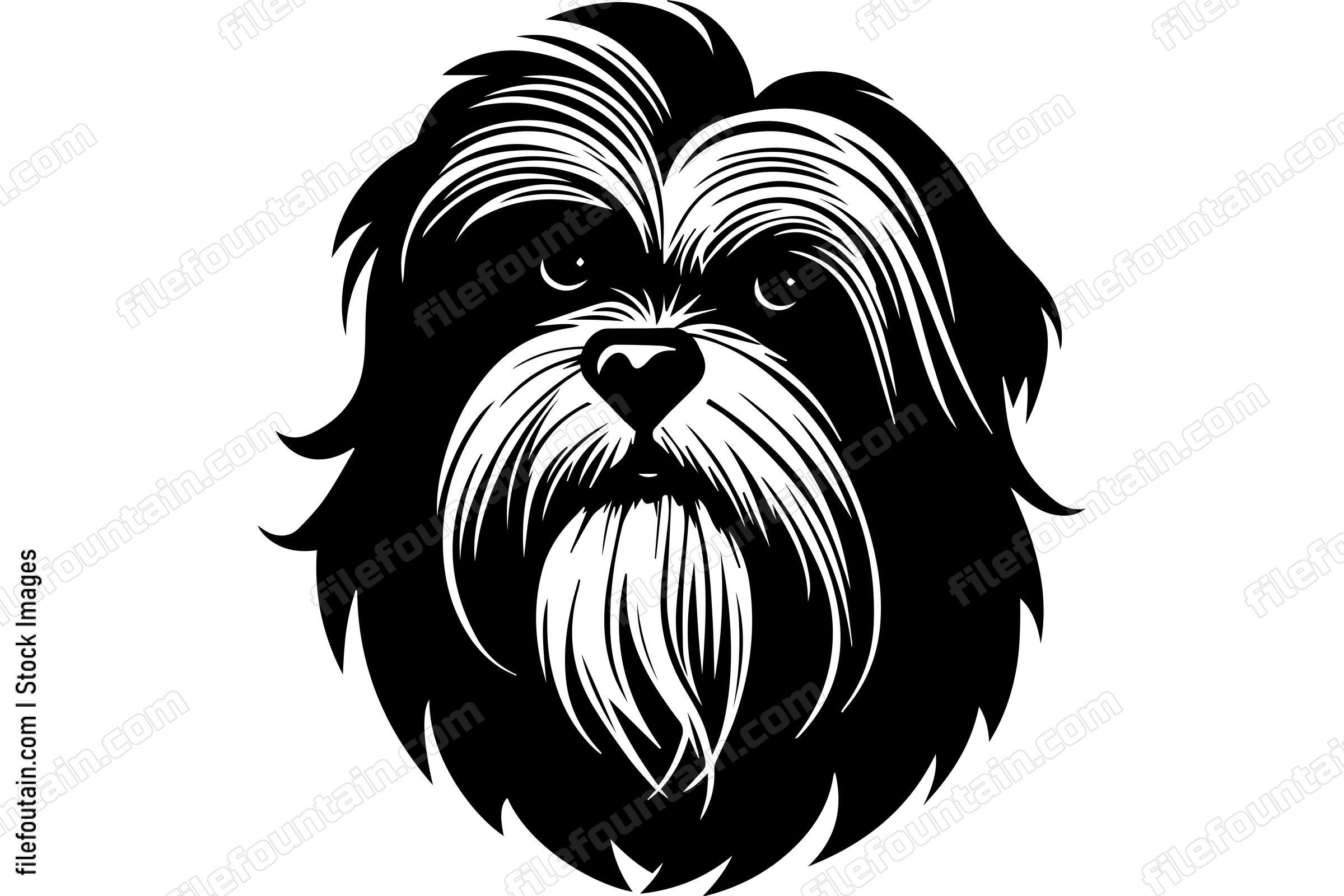 Havanese