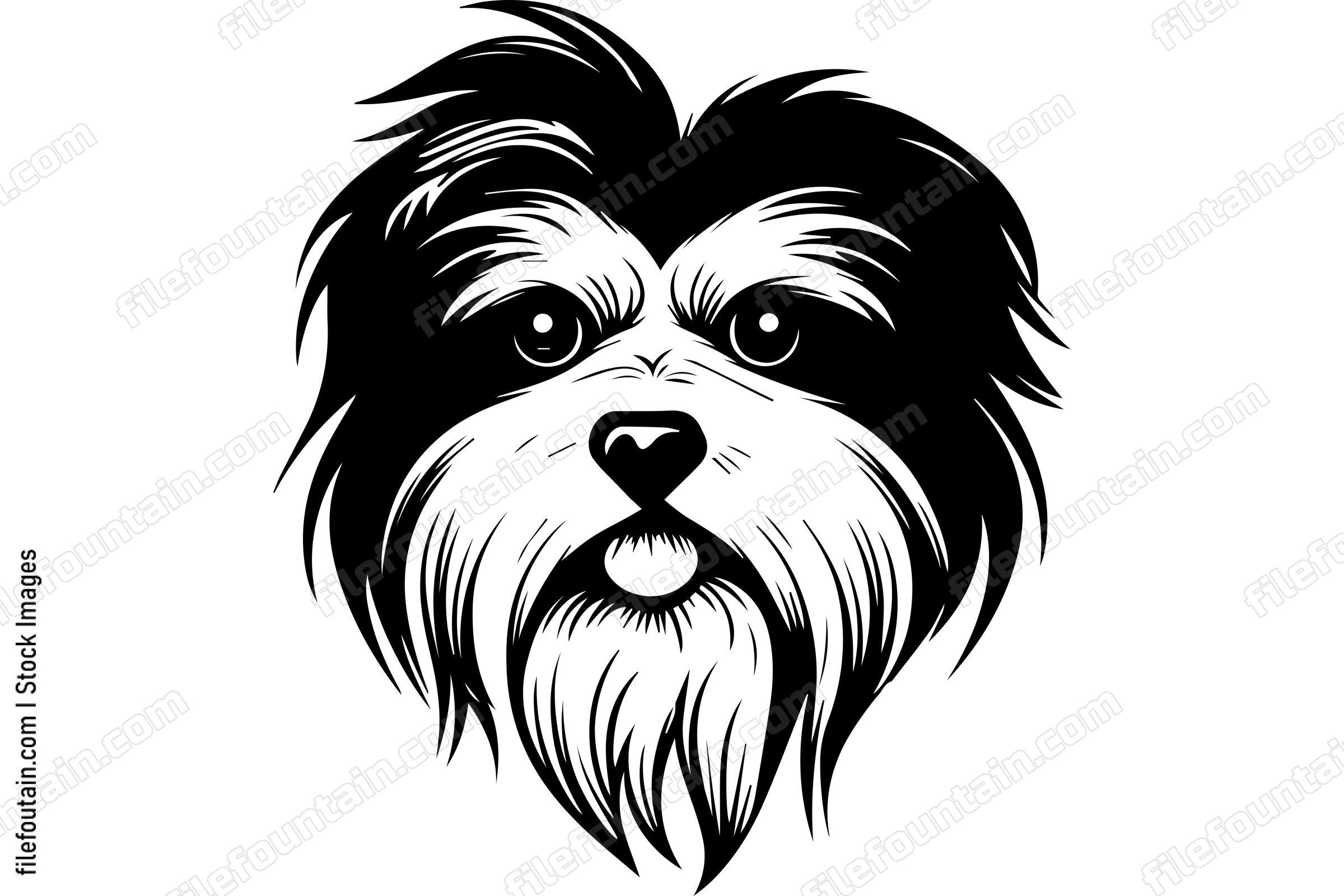 Havanese