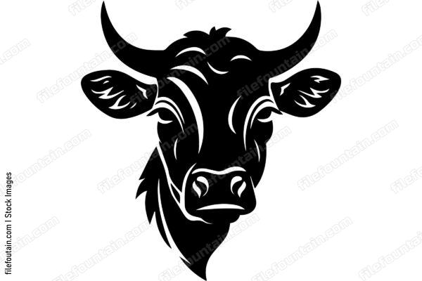 Heifer Cow