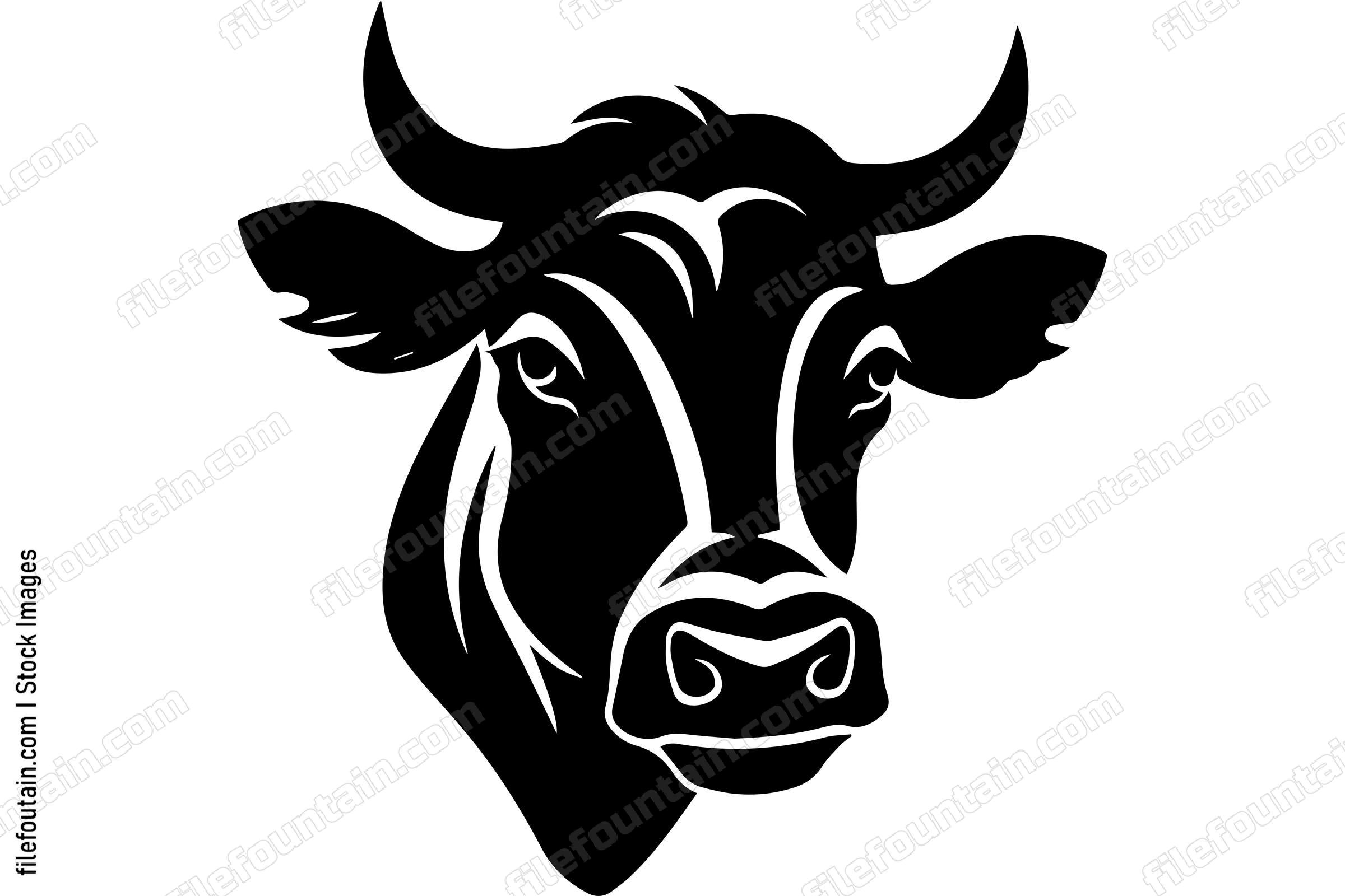 Heifer Cow