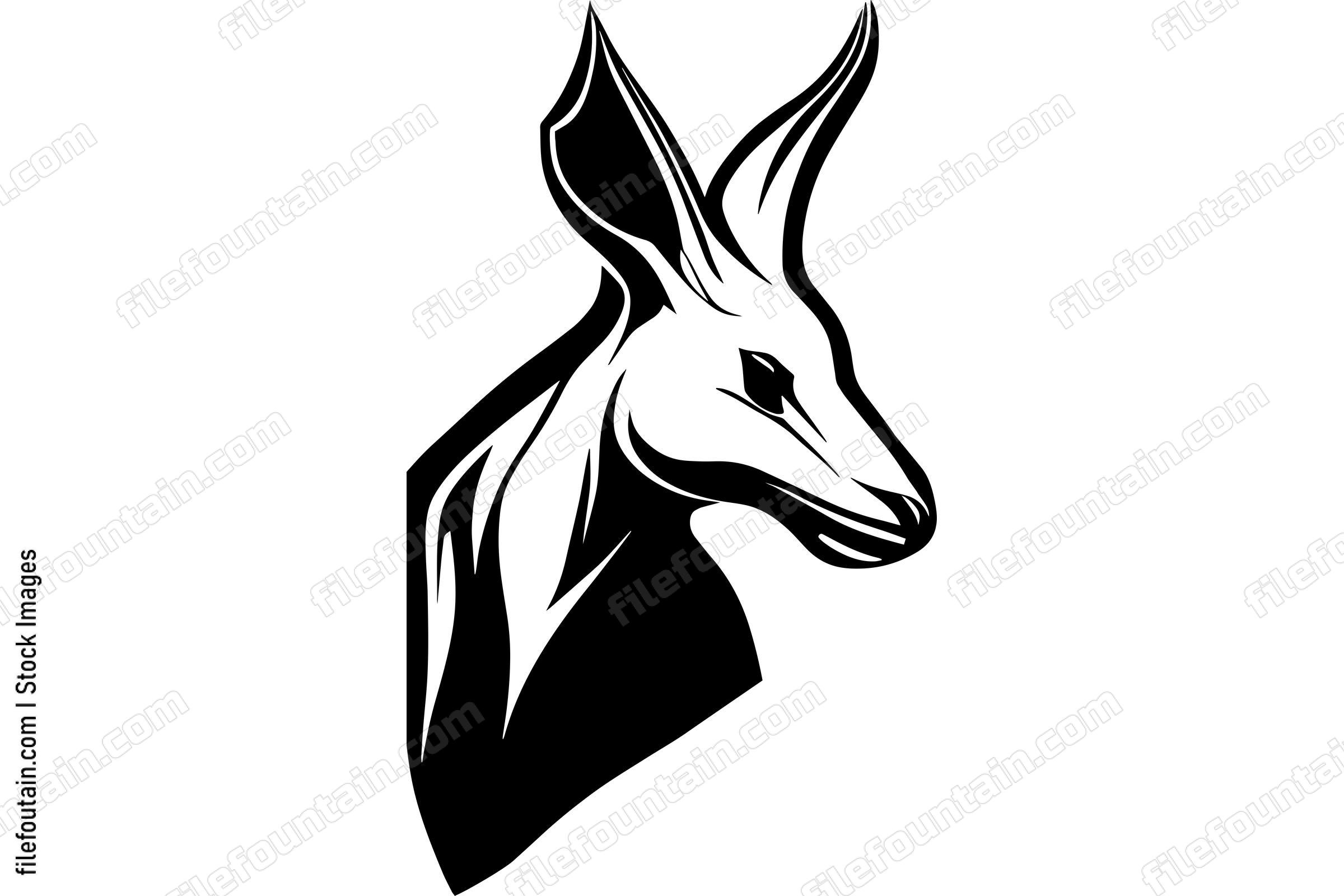 Kangaroo