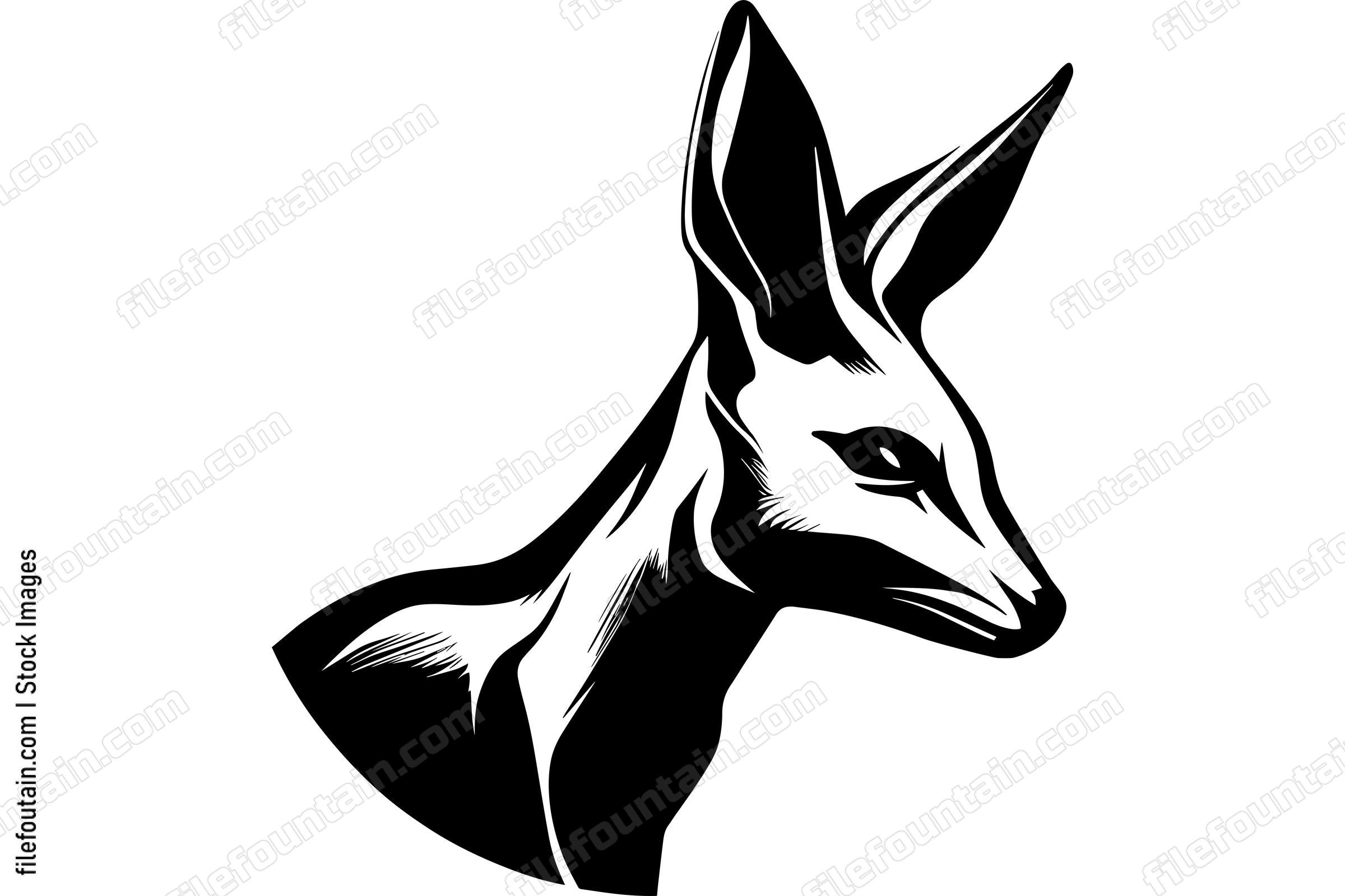 Kangaroo