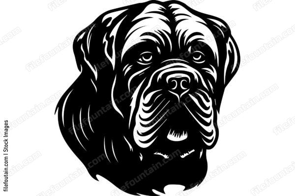 Mastiff