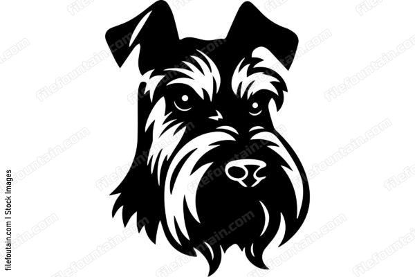 Miniature Schnauzer