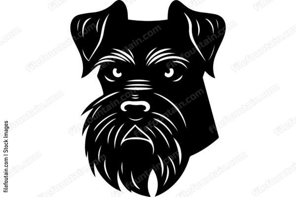 Miniature Schnauzer