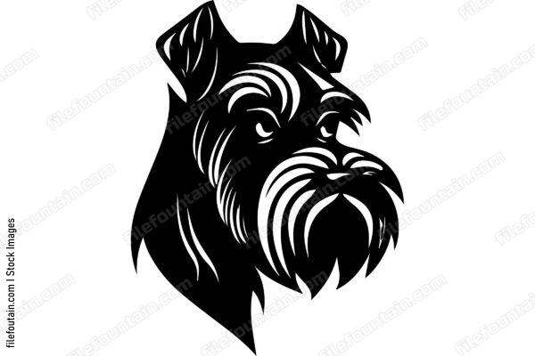 Miniature Schnauzer