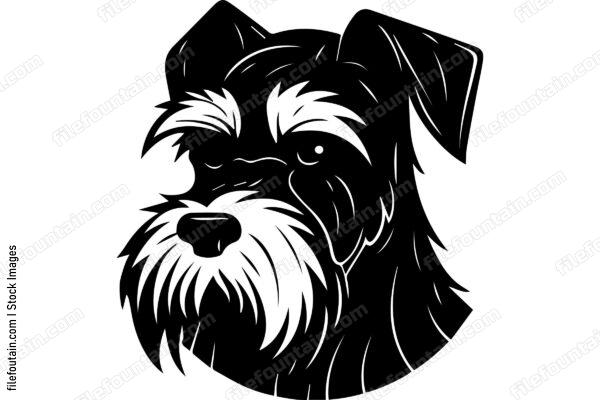 Miniature Schnauzer