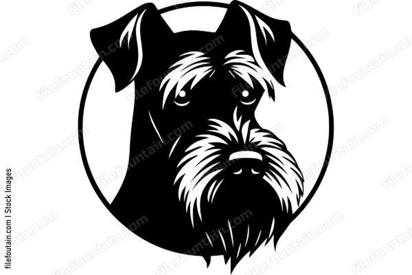 Miniature Schnauzer
