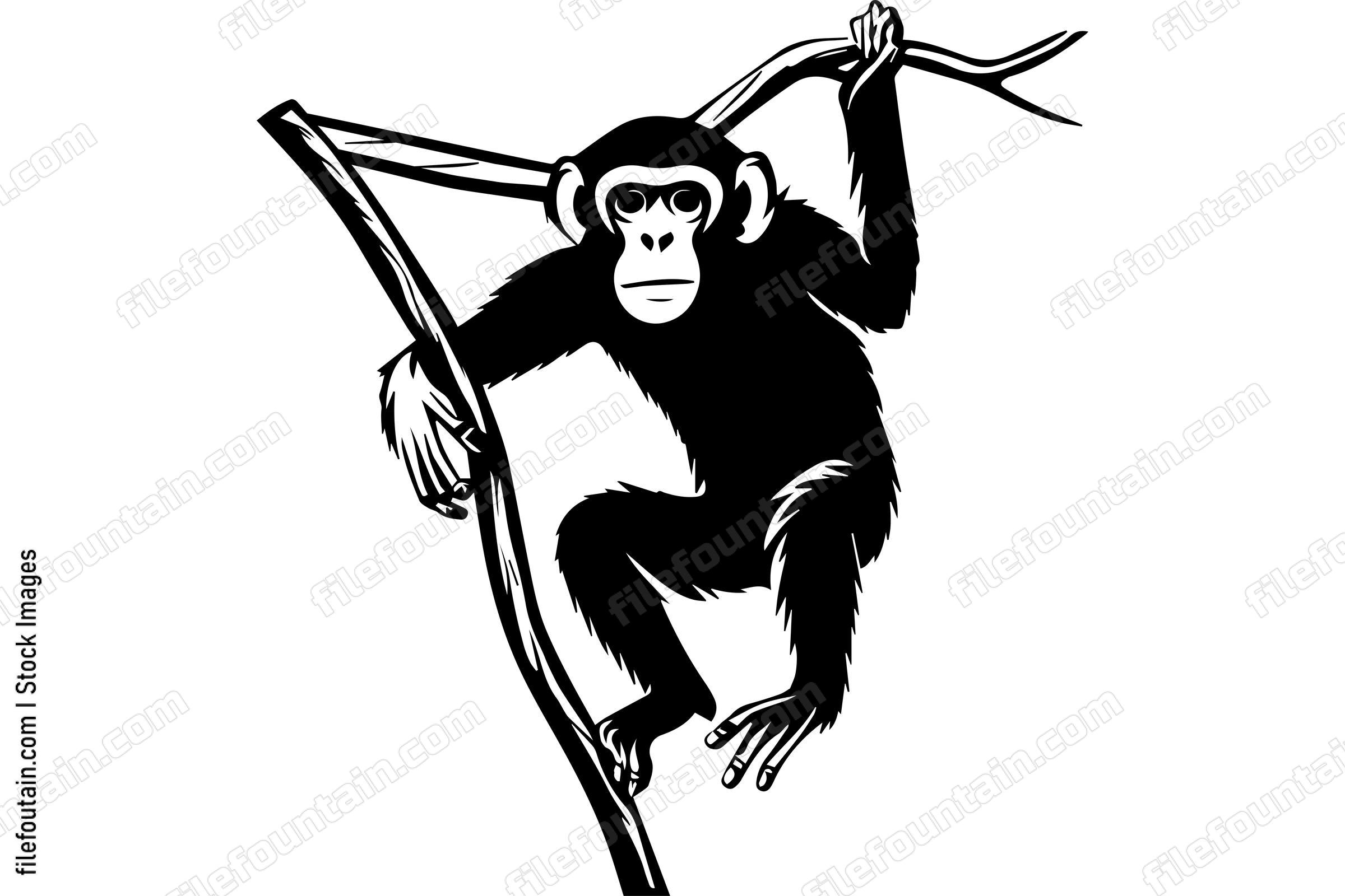 Monkey On A Tree Branch