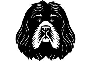 Newfoundland