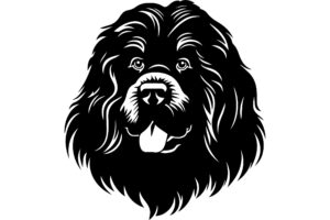 Newfoundland