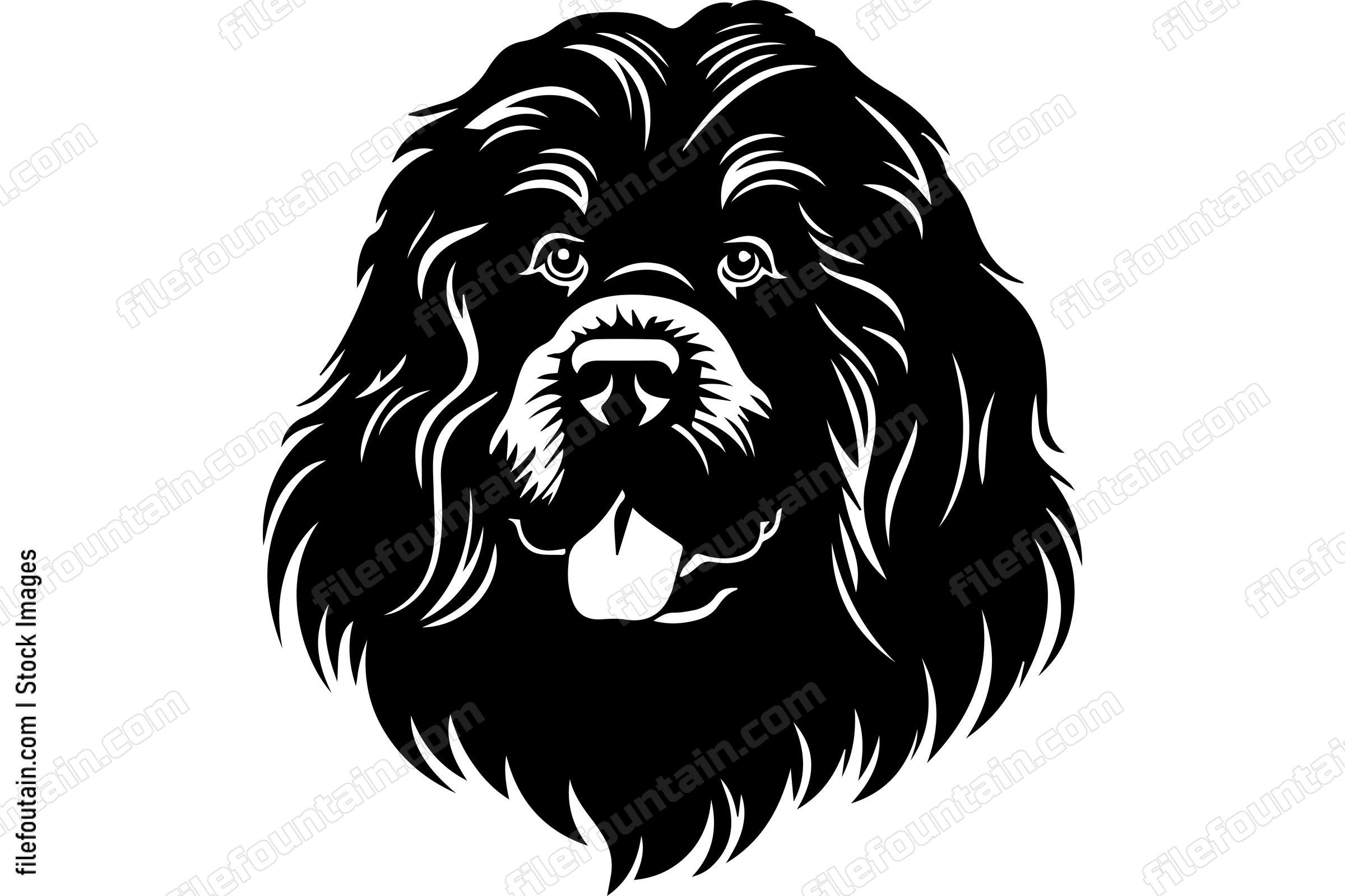 Newfoundland