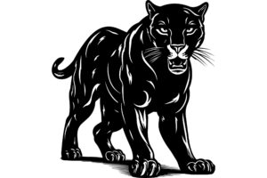 Panther