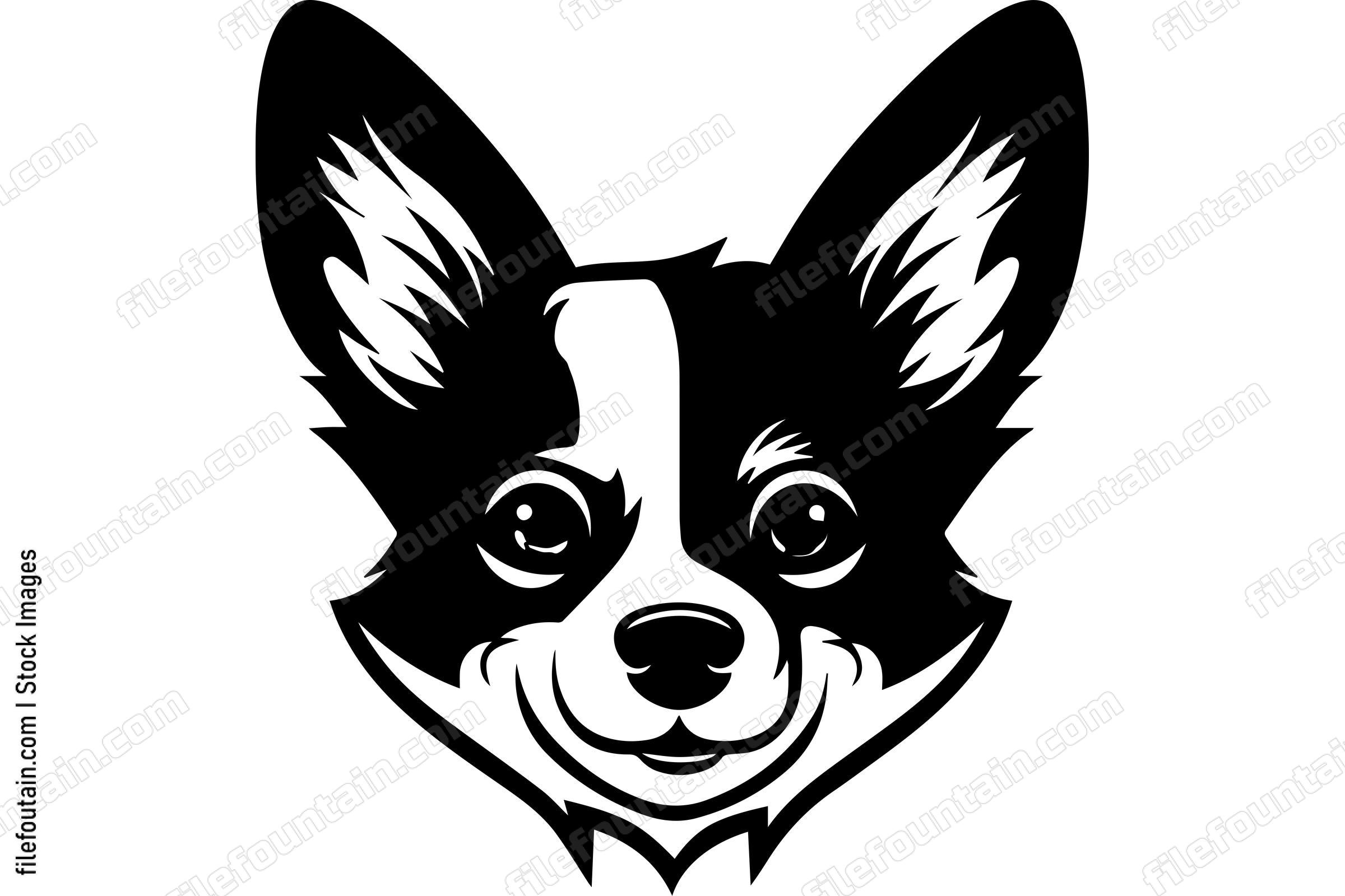 Pembroke Welsh Corgi