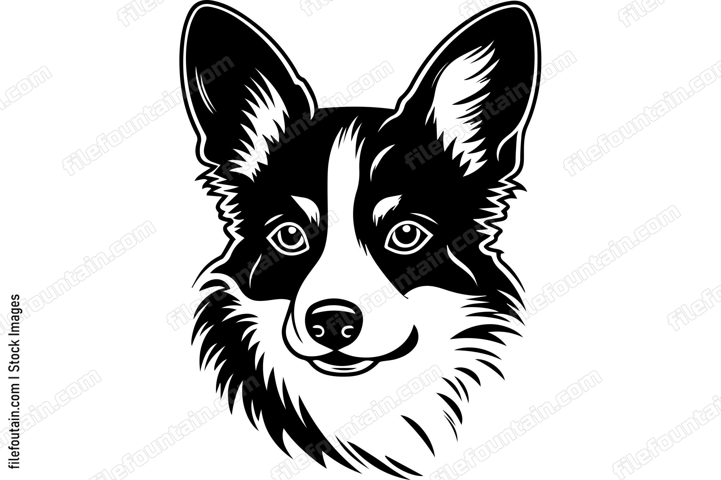 Pembroke Welsh Corgi