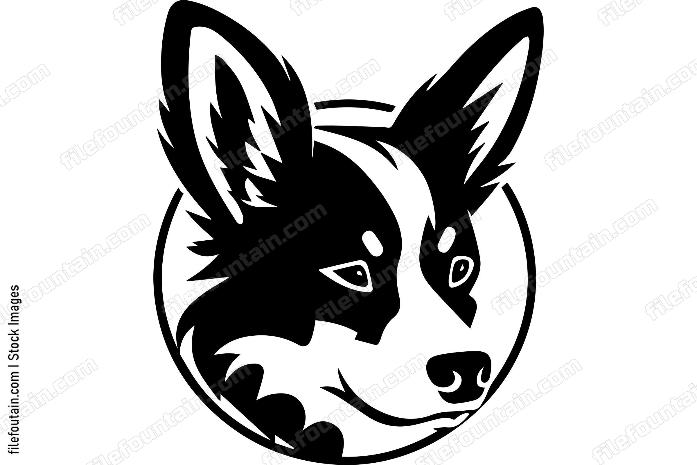 Pembroke Welsh Corgi