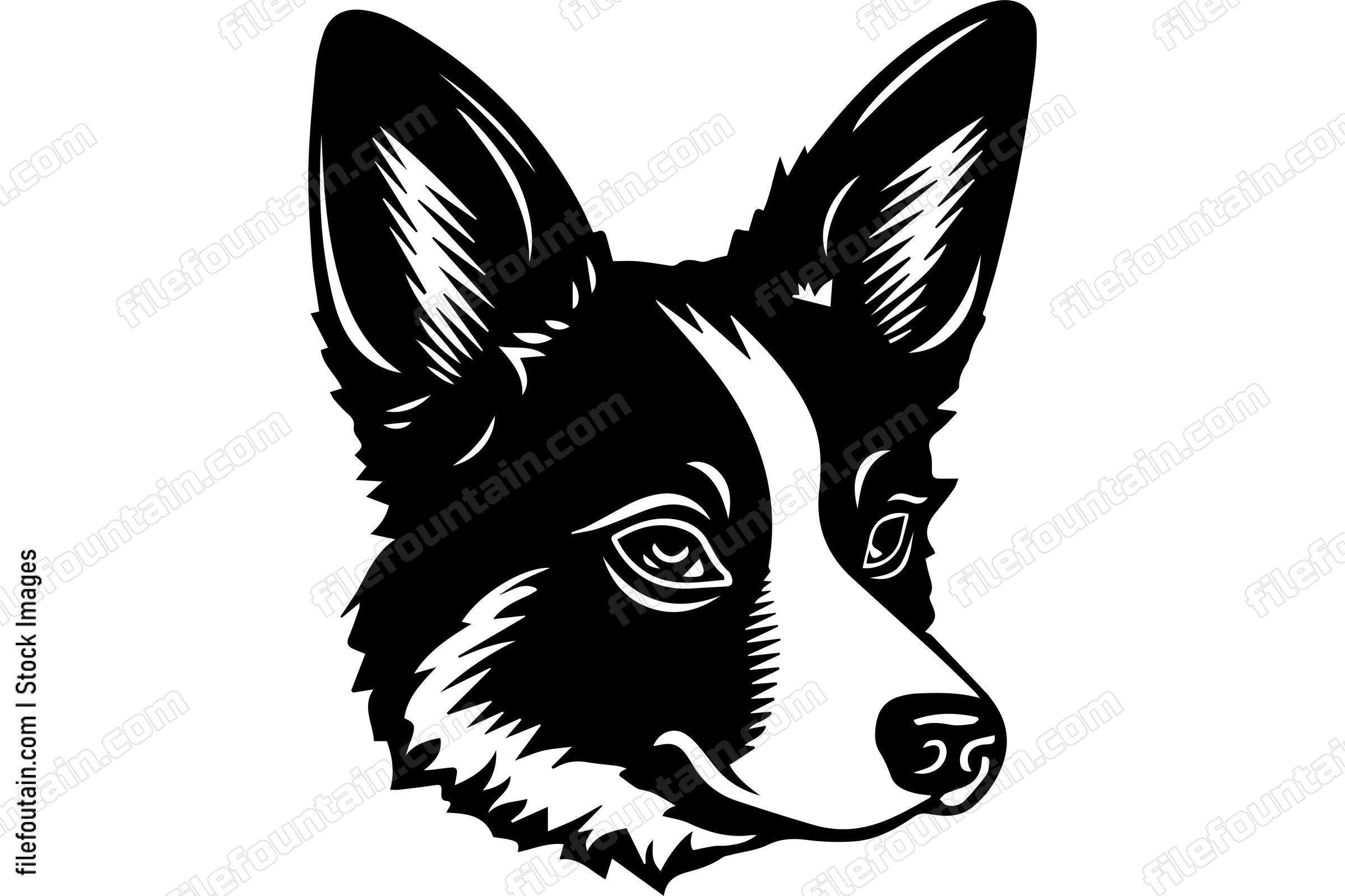Pembroke Welsh Corgi