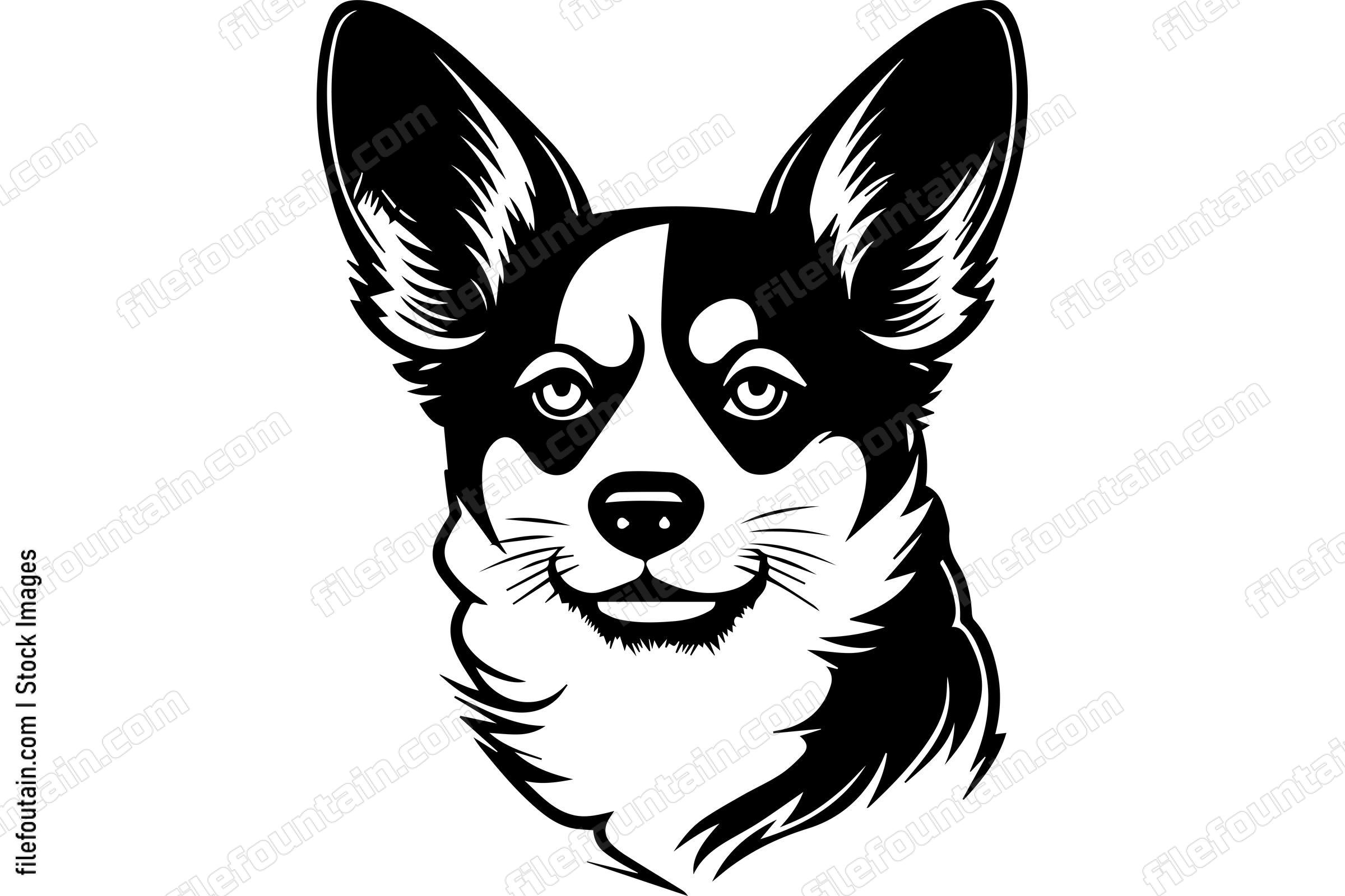 Pembroke Welsh Corgi