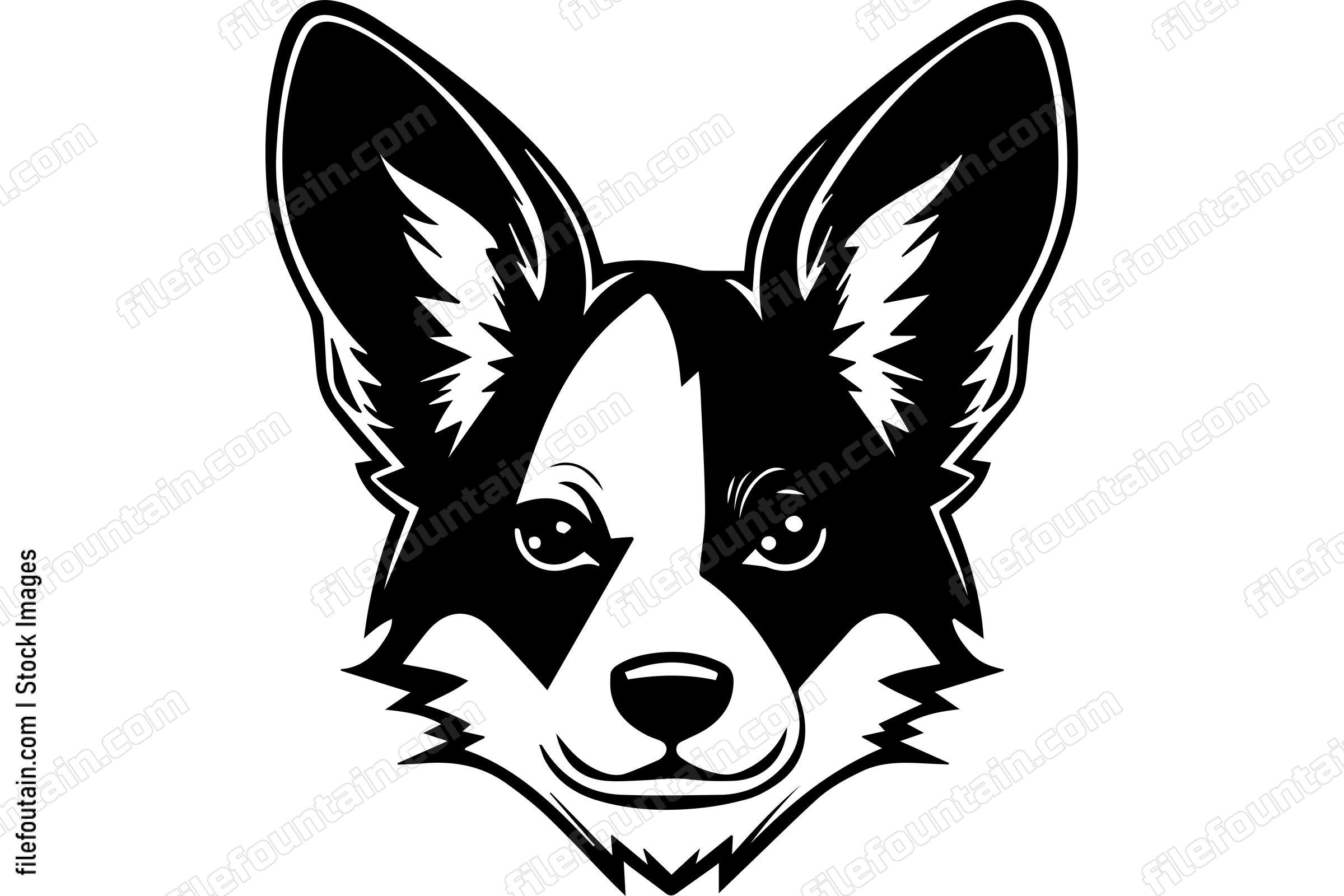 Pembroke Welsh Corgi