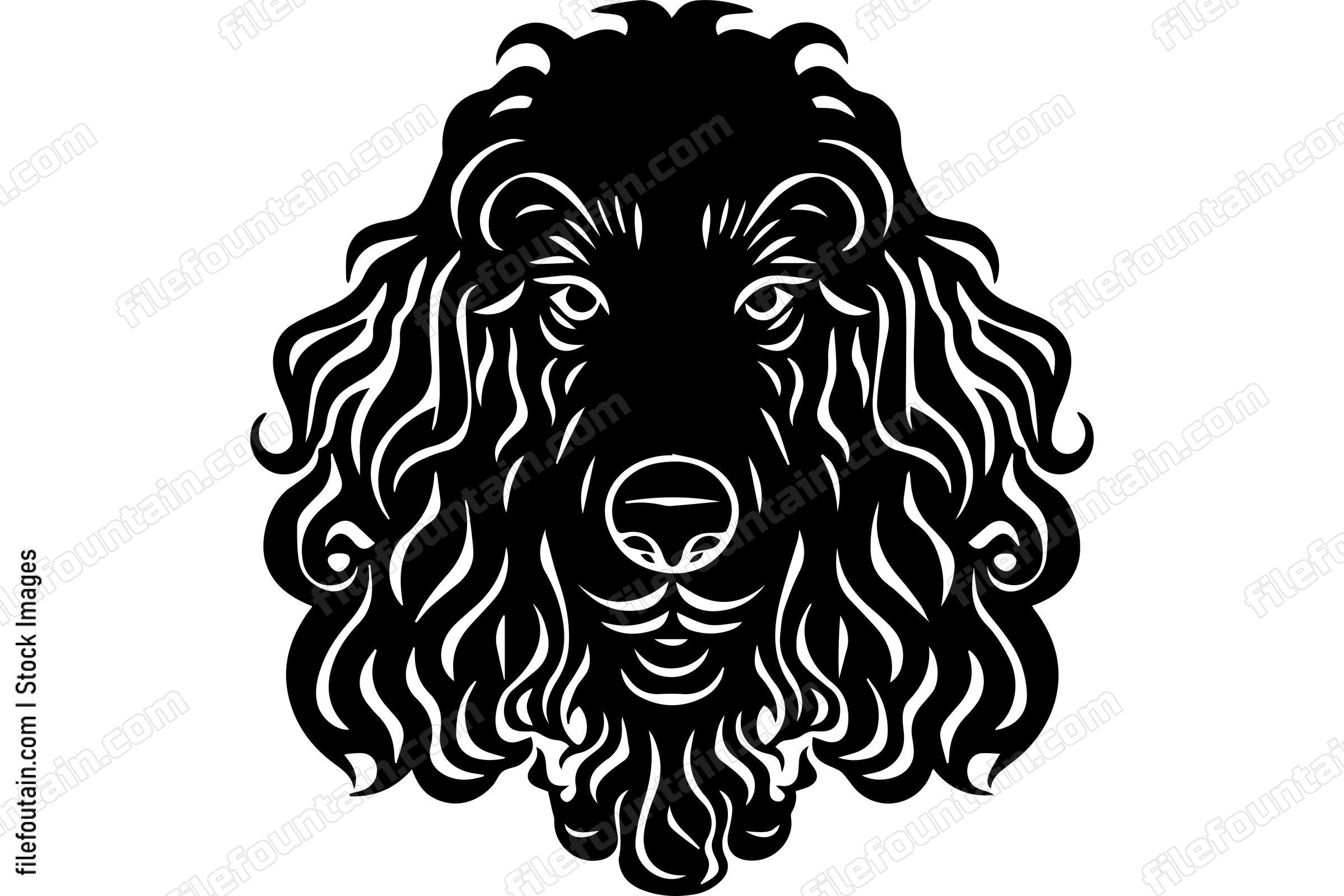 Poodle