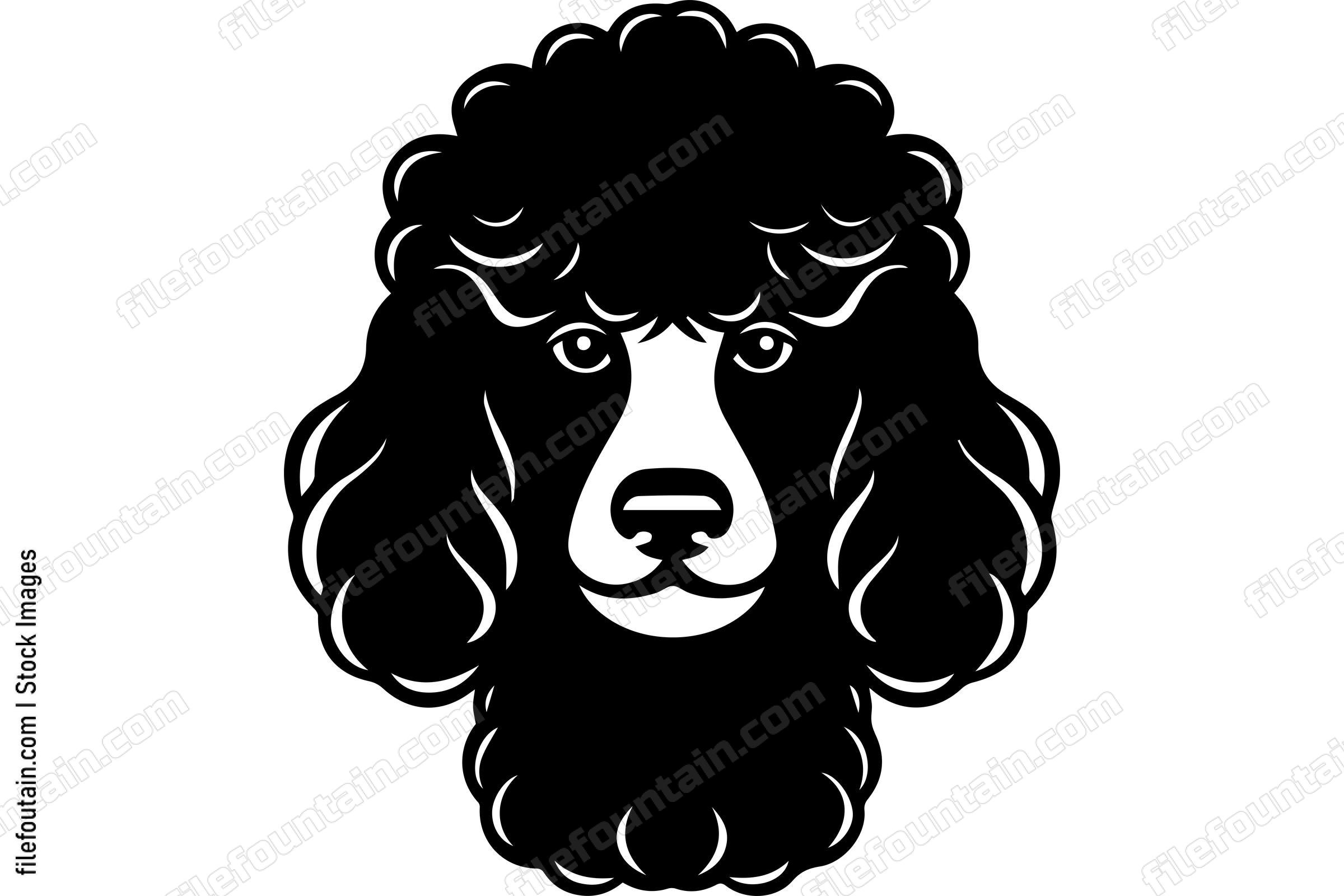 Poodle
